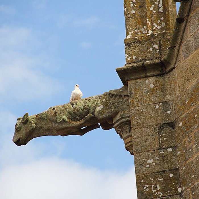 Photo de Basilique Notre-Dame du Roncier