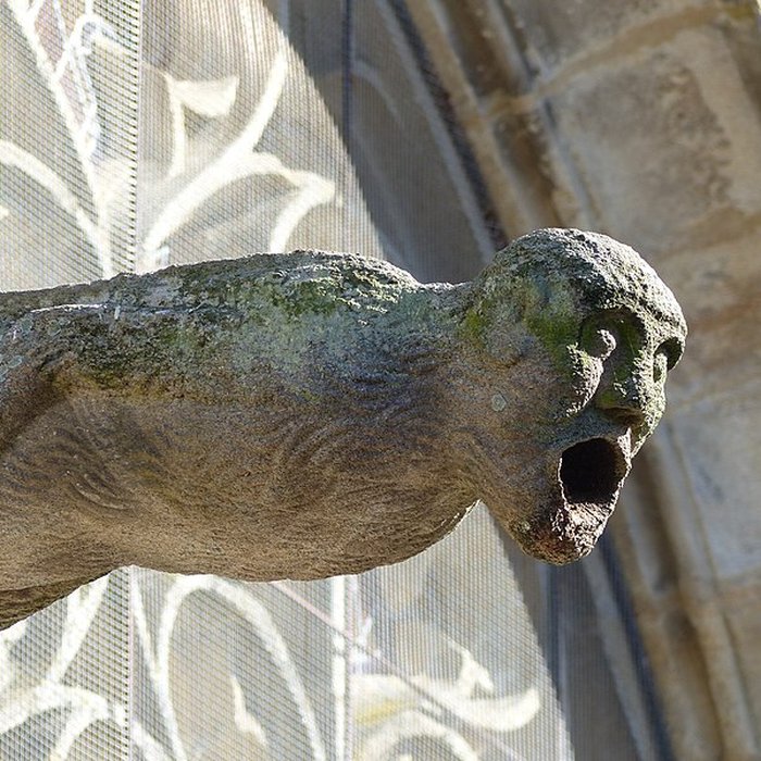 Photo de Basilique Notre-Dame du Roncier