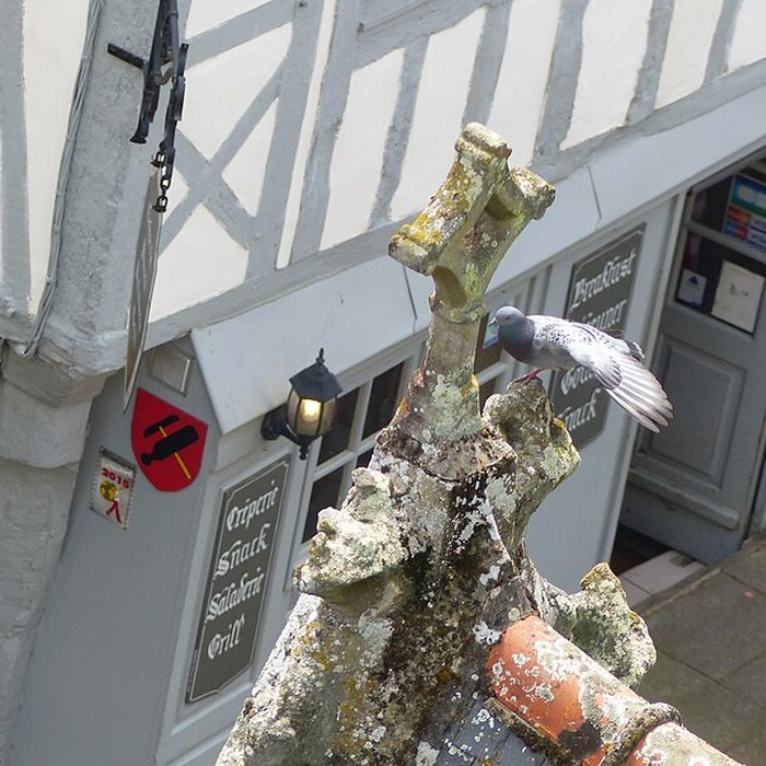 Photo de Basilique Notre-Dame du Roncier