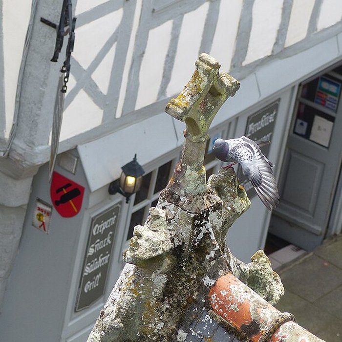 Photo de Basilique Notre-Dame du Roncier