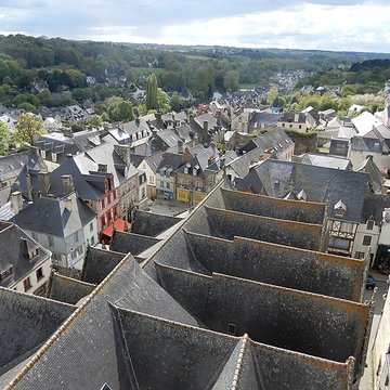 Basilique Notre-Dame du Roncier