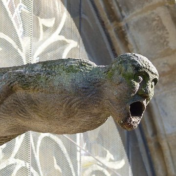 Basilique Notre-Dame du Roncier