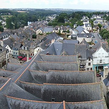 Basilique Notre-Dame du Roncier