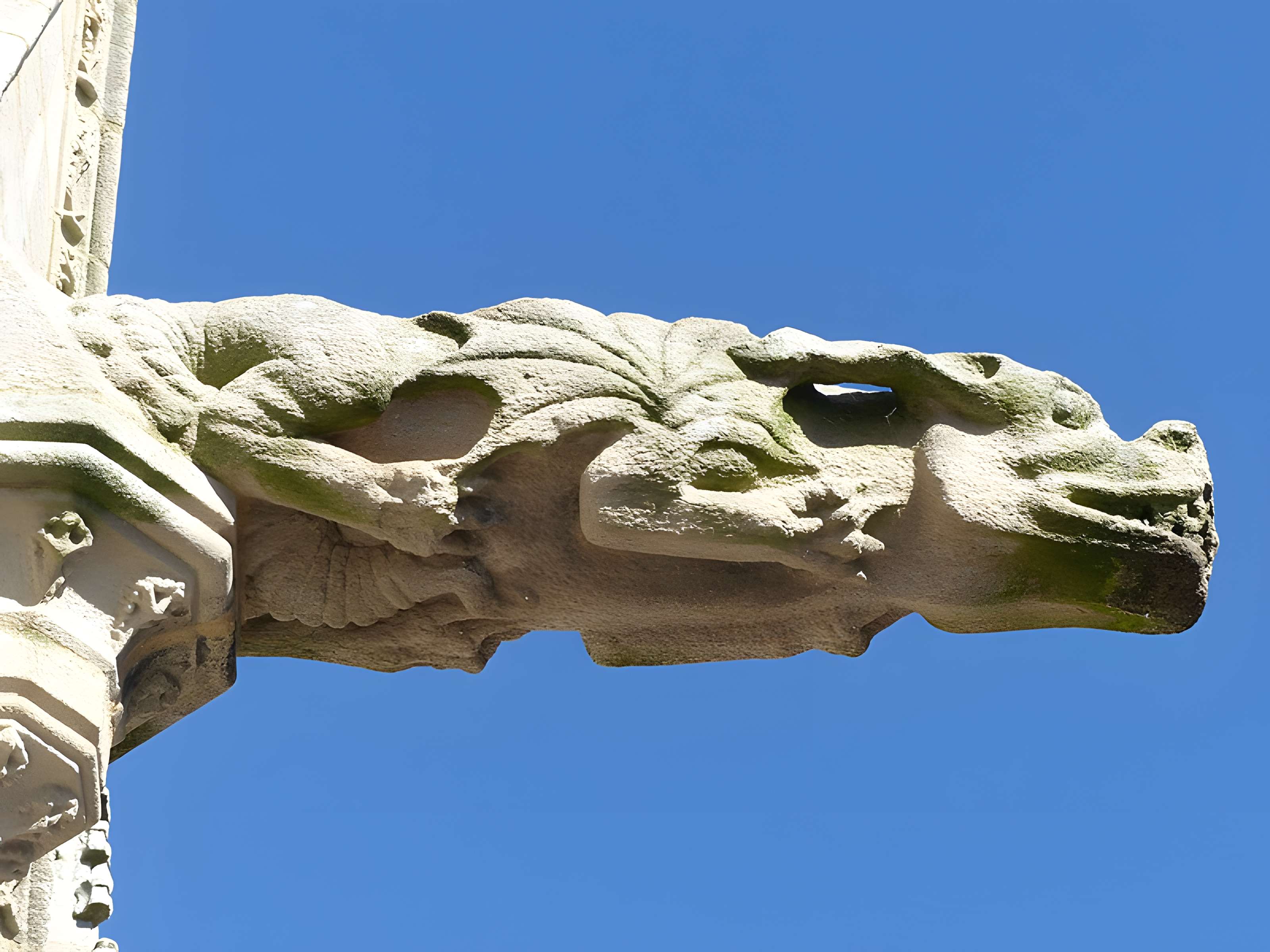 Basilique Notre-Dame du Roncier