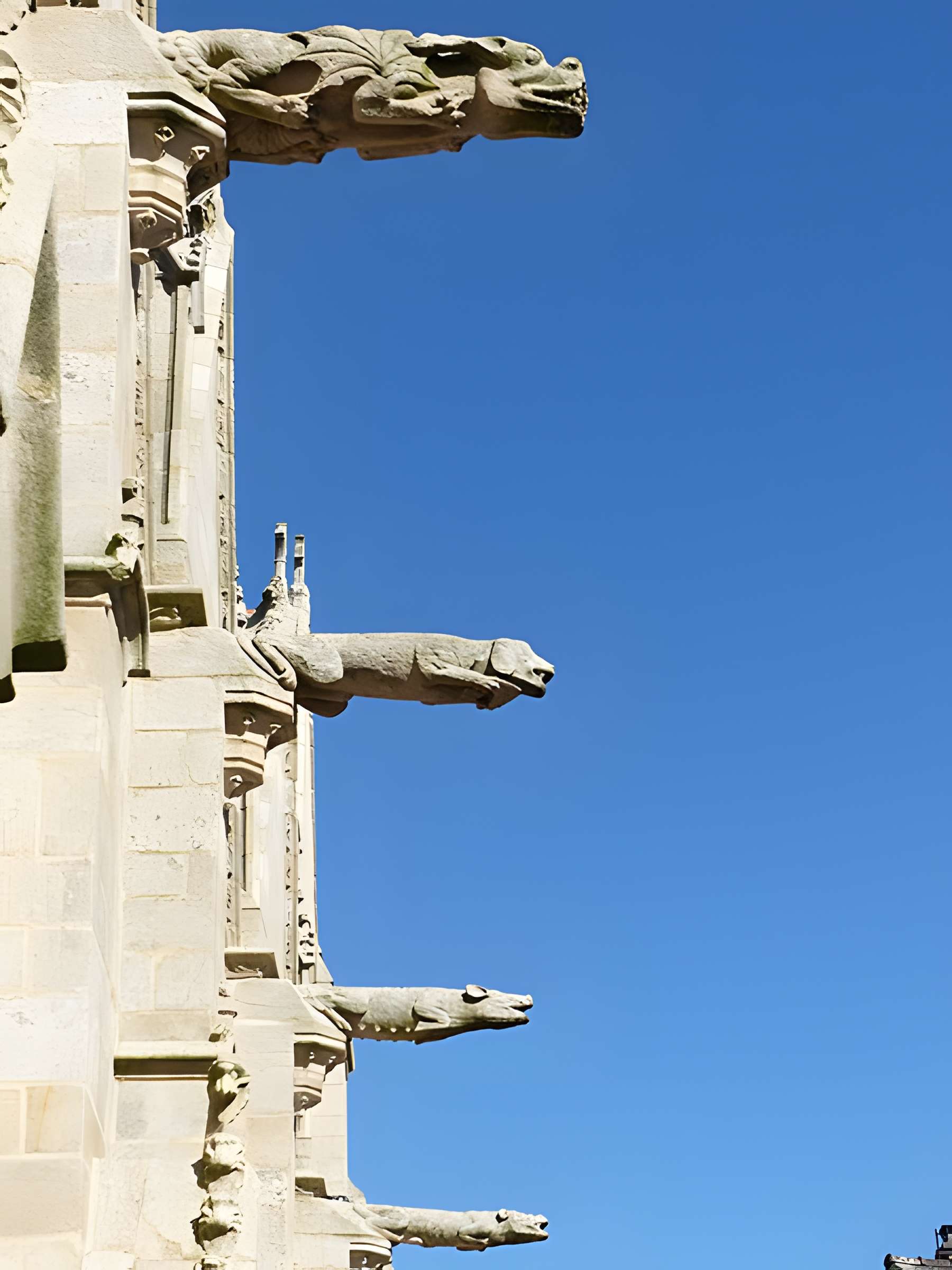 Basilique Notre-Dame du Roncier