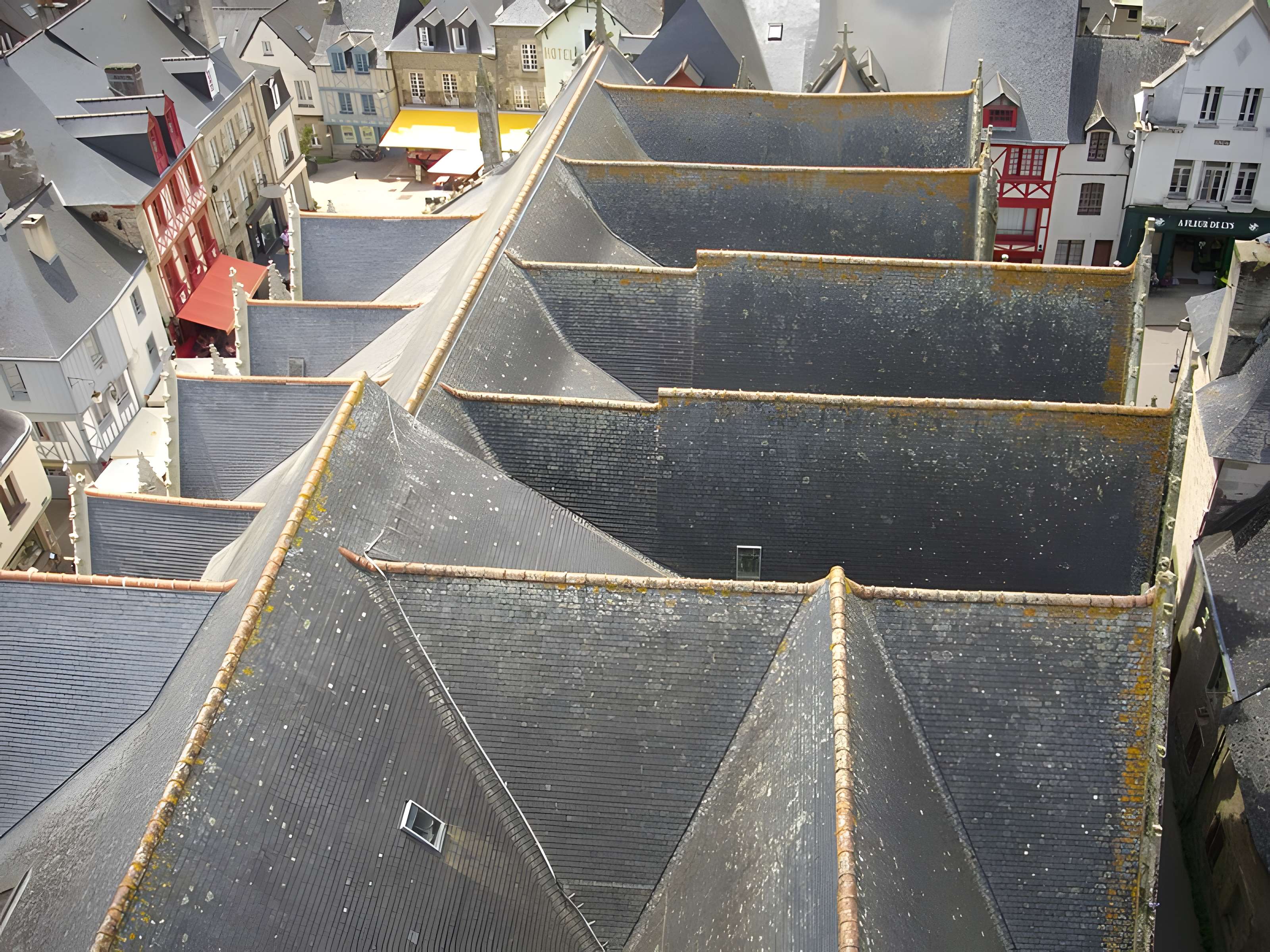 Basilique Notre-Dame du Roncier