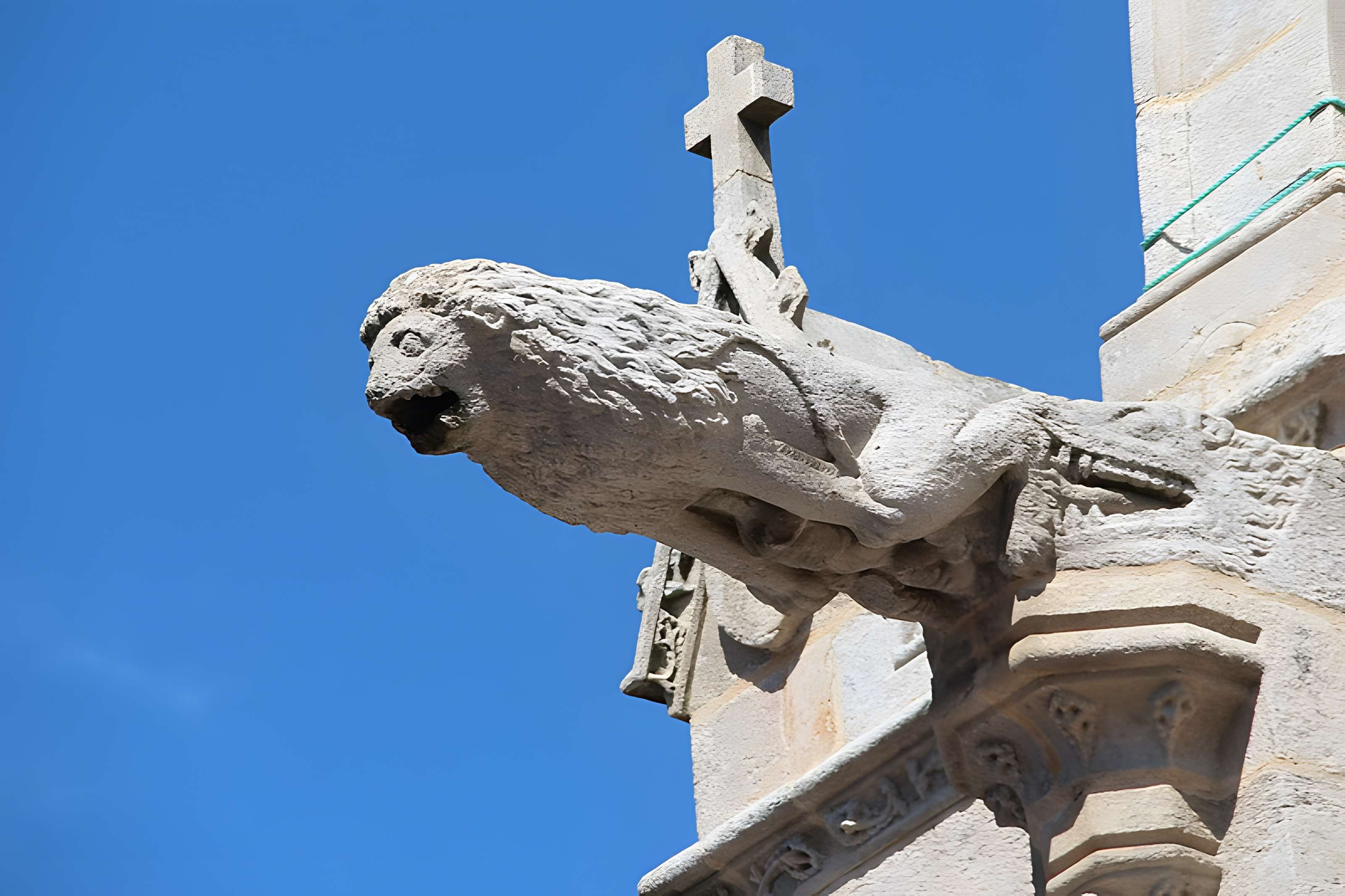 Basilique Notre-Dame du Roncier