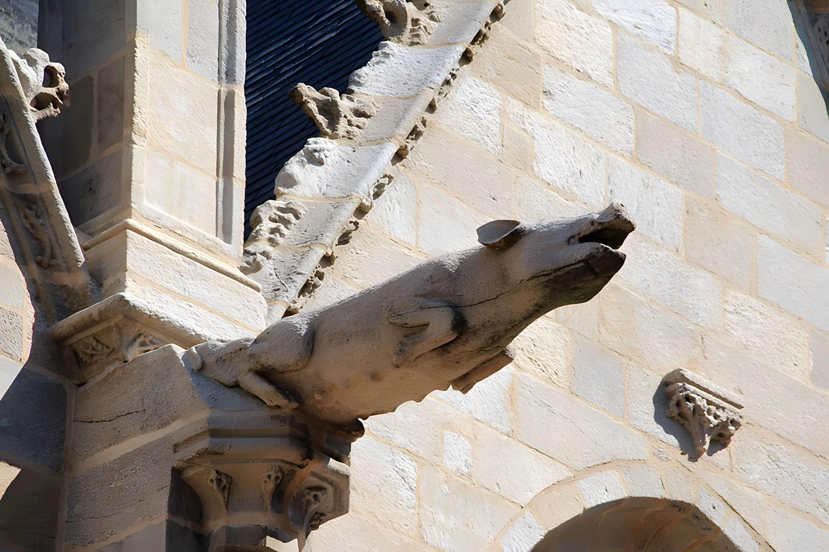 Basilique Notre-Dame du Roncier