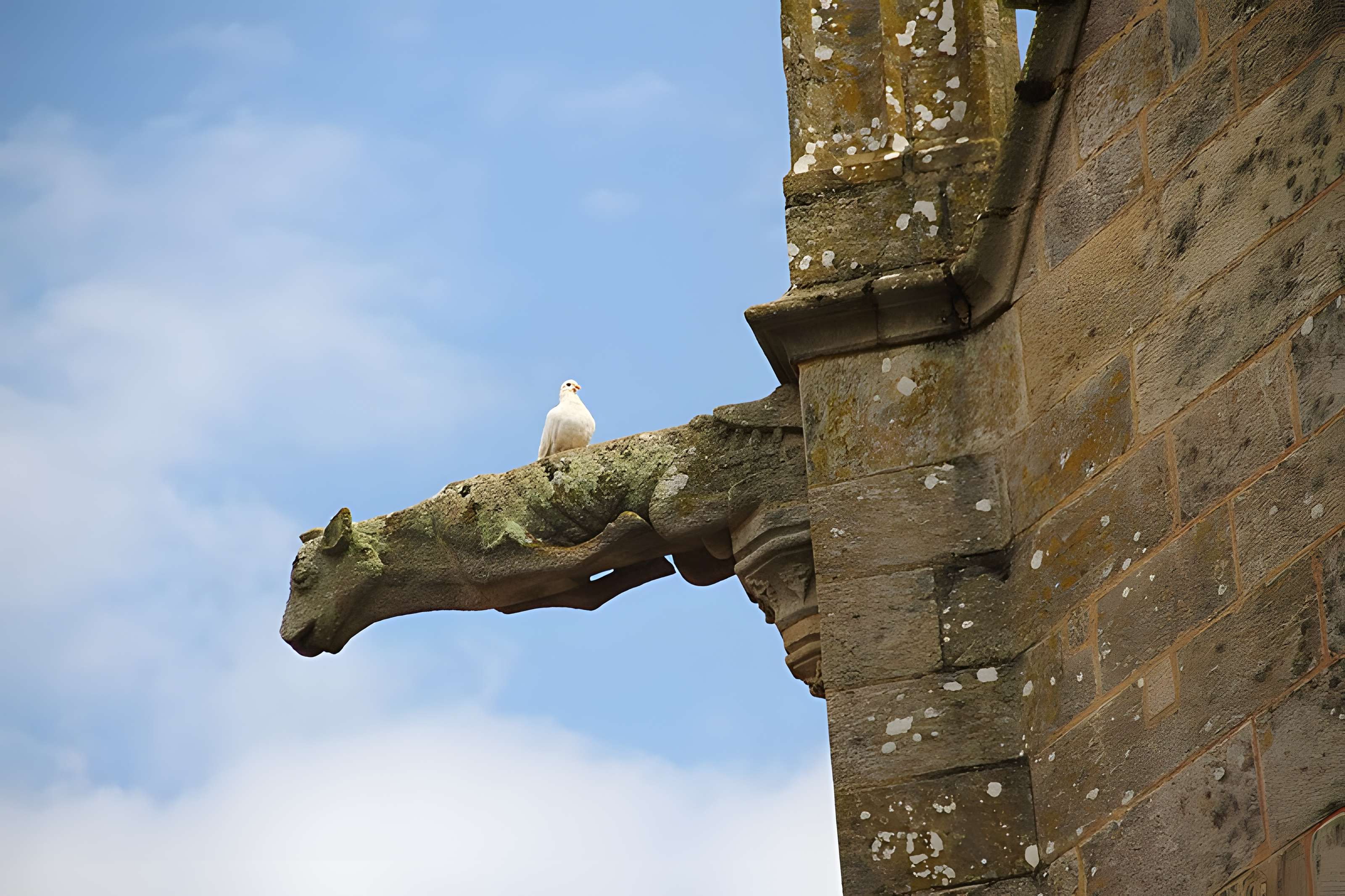 Basilique Notre-Dame du Roncier
