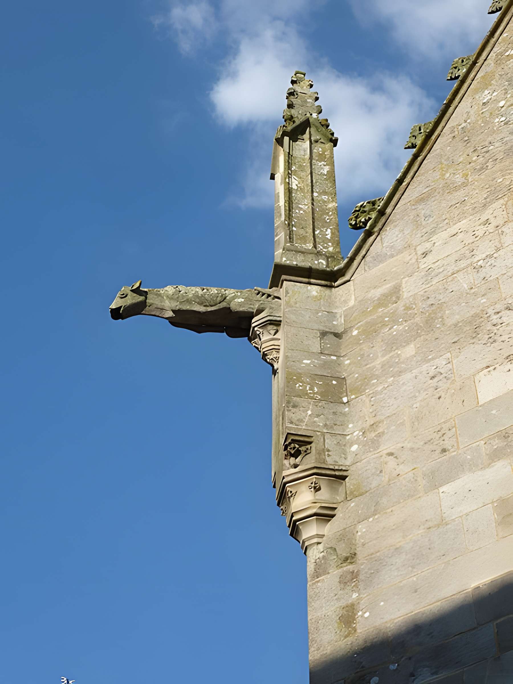 Basilique Notre-Dame du Roncier