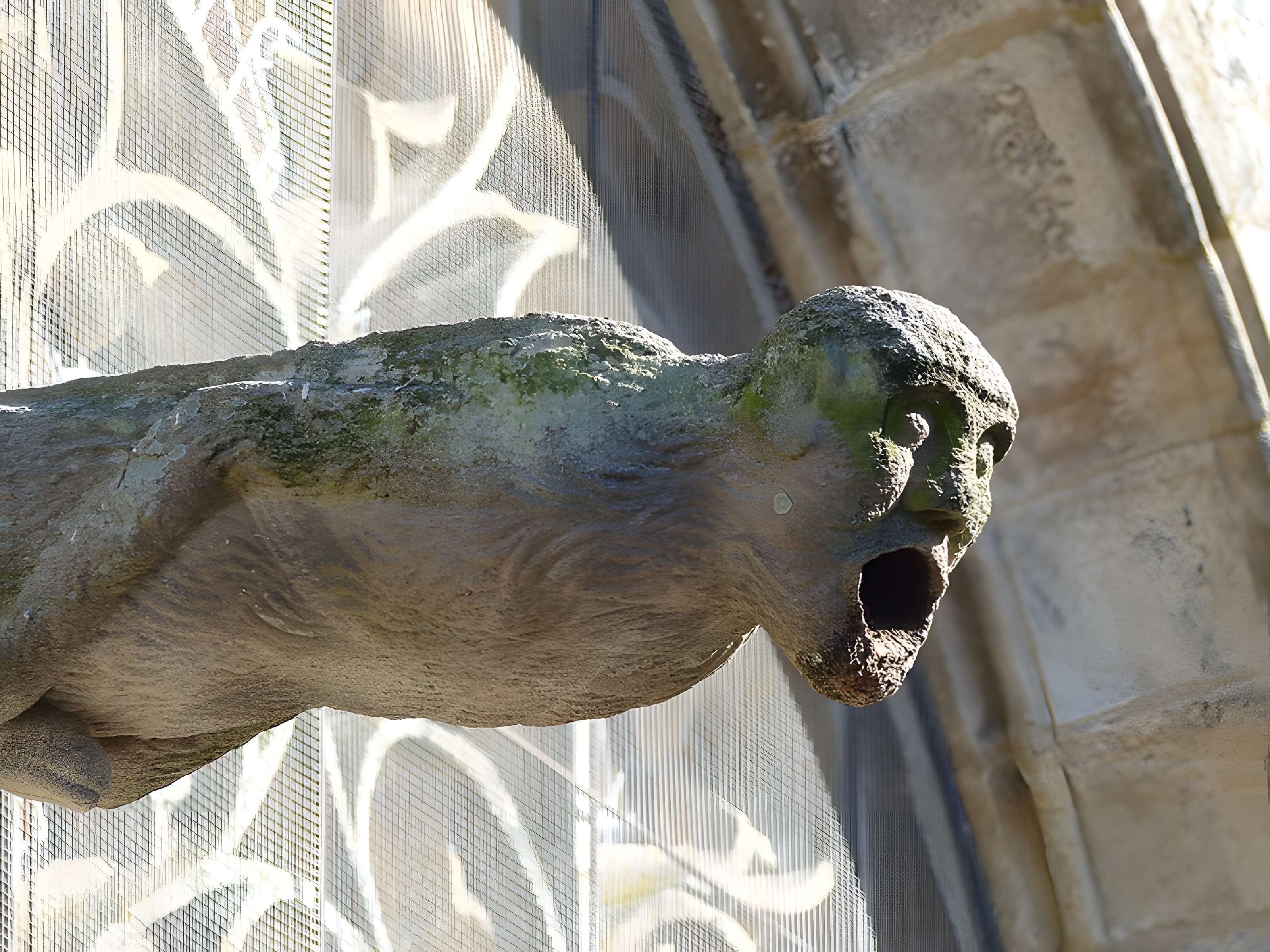 Basilique Notre-Dame du Roncier