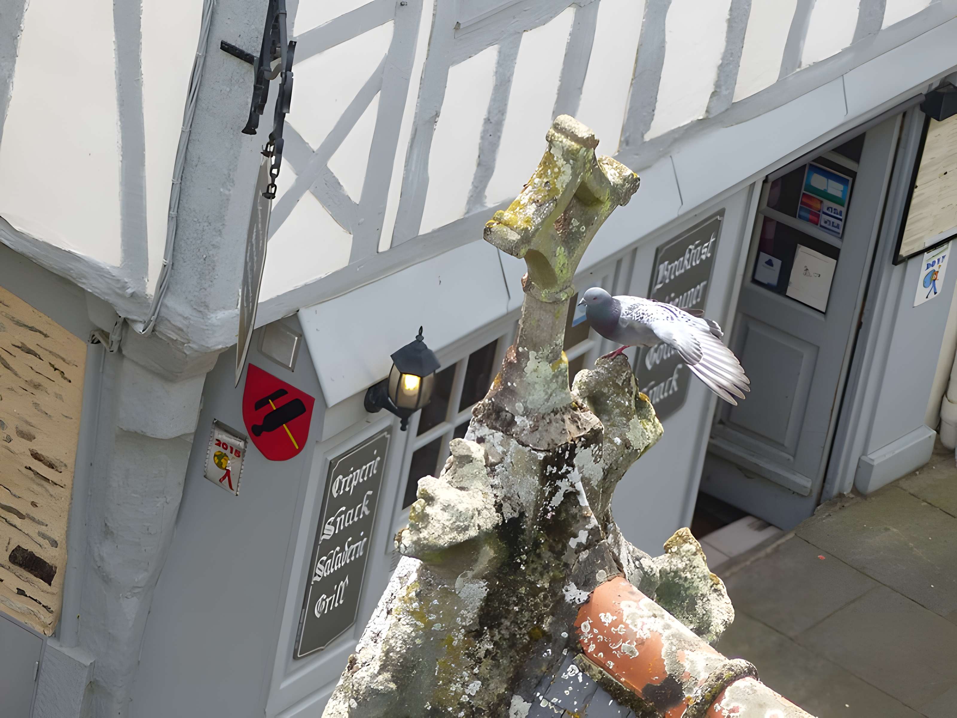 Basilique Notre-Dame du Roncier