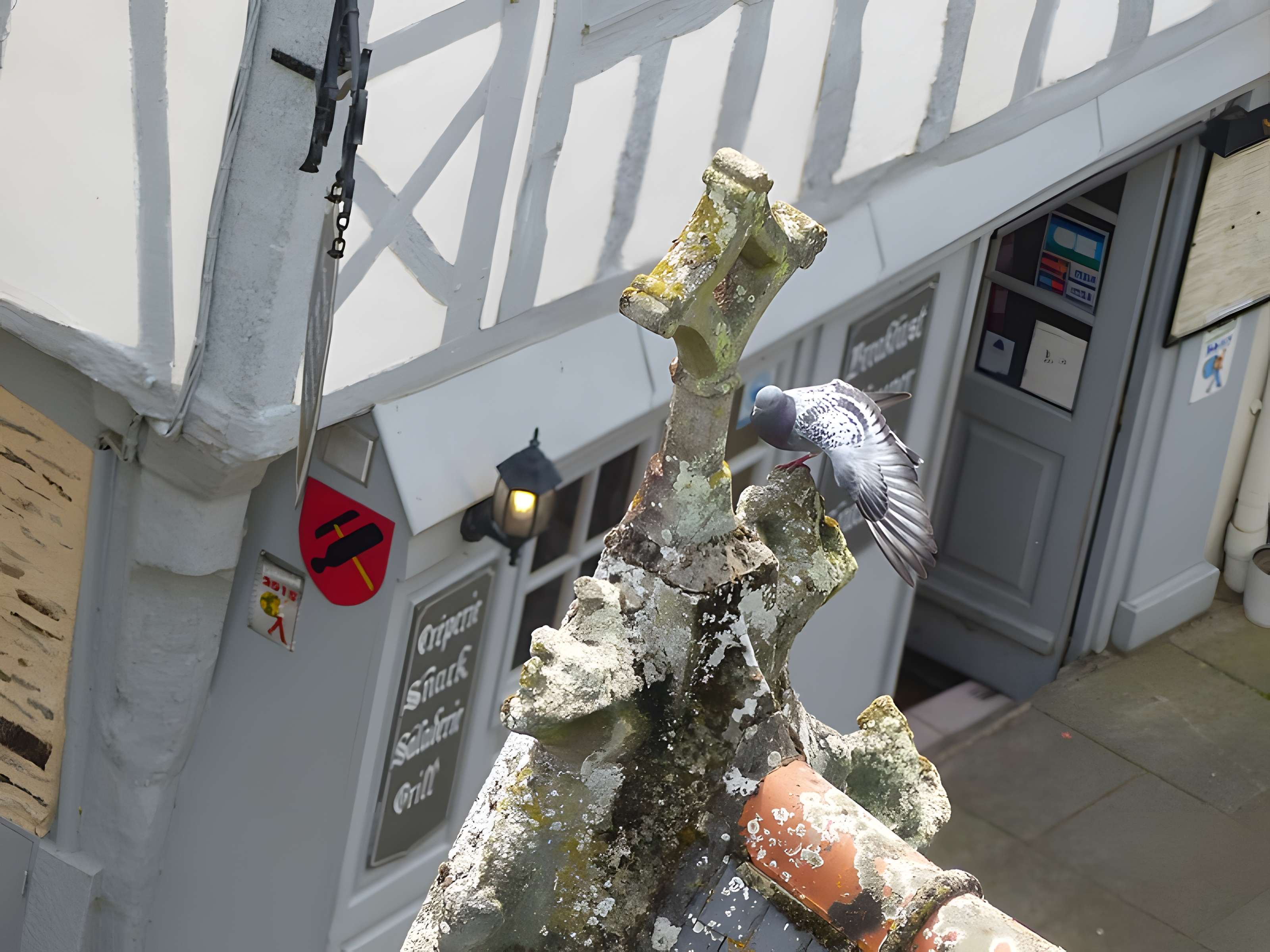 Basilique Notre-Dame du Roncier