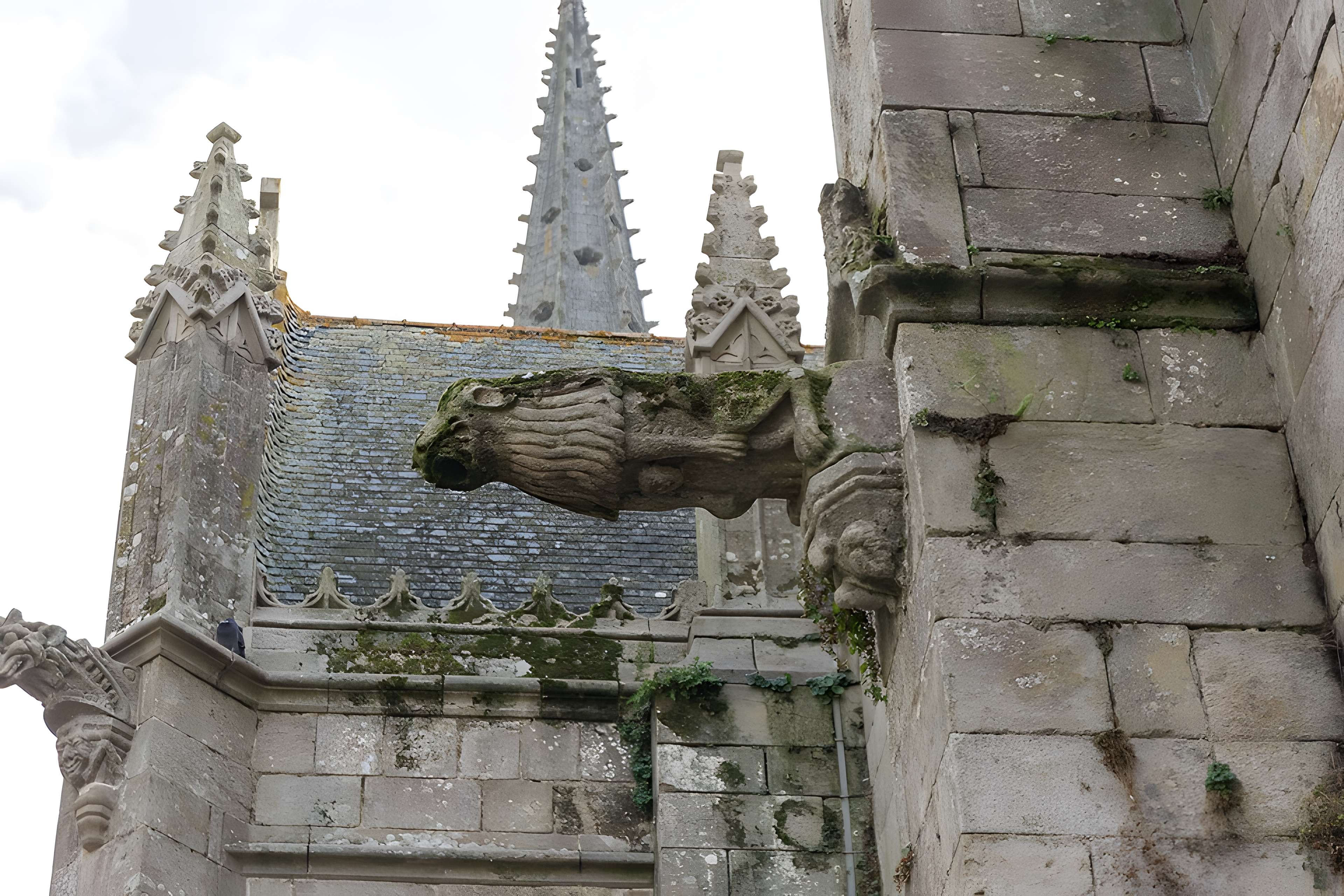 Basilique Notre-Dame du Roncier