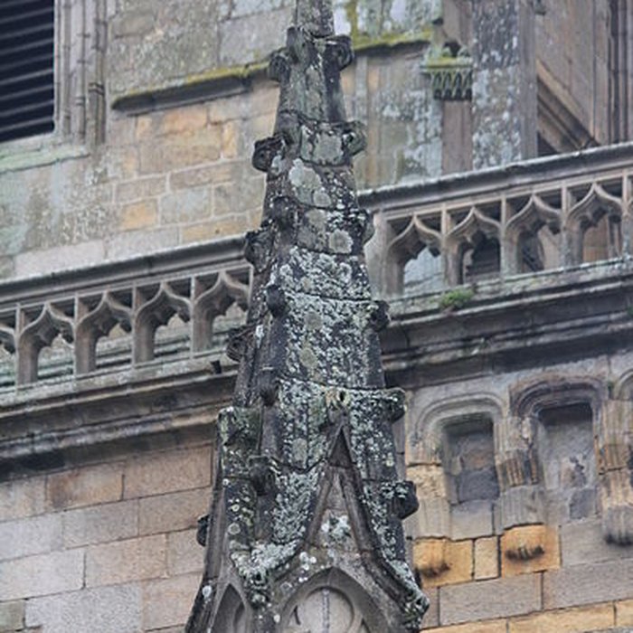 Photo de Basilique Notre-Dame-de-Paradis de Hennebont