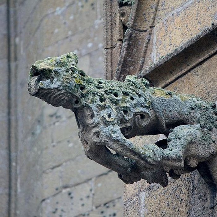 Photo de Basilique Notre-Dame-de-Paradis de Hennebont
