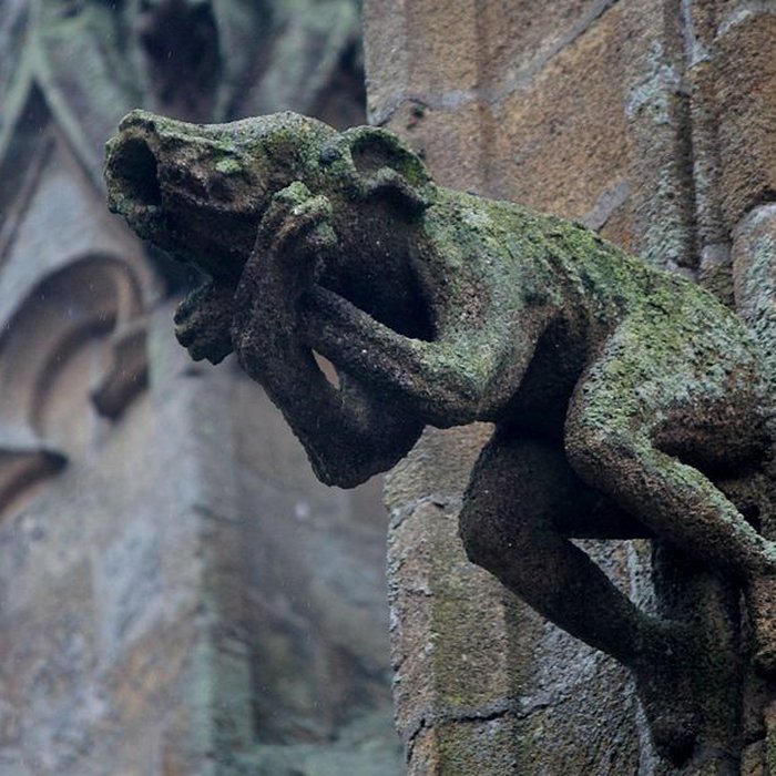 Photo de Basilique Notre-Dame-de-Paradis de Hennebont