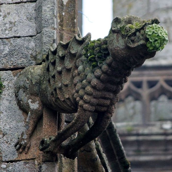 Photo de Basilique Notre-Dame-de-Paradis de Hennebont