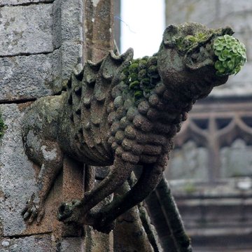 Basilique Notre-Dame-de-Paradis de Hennebont