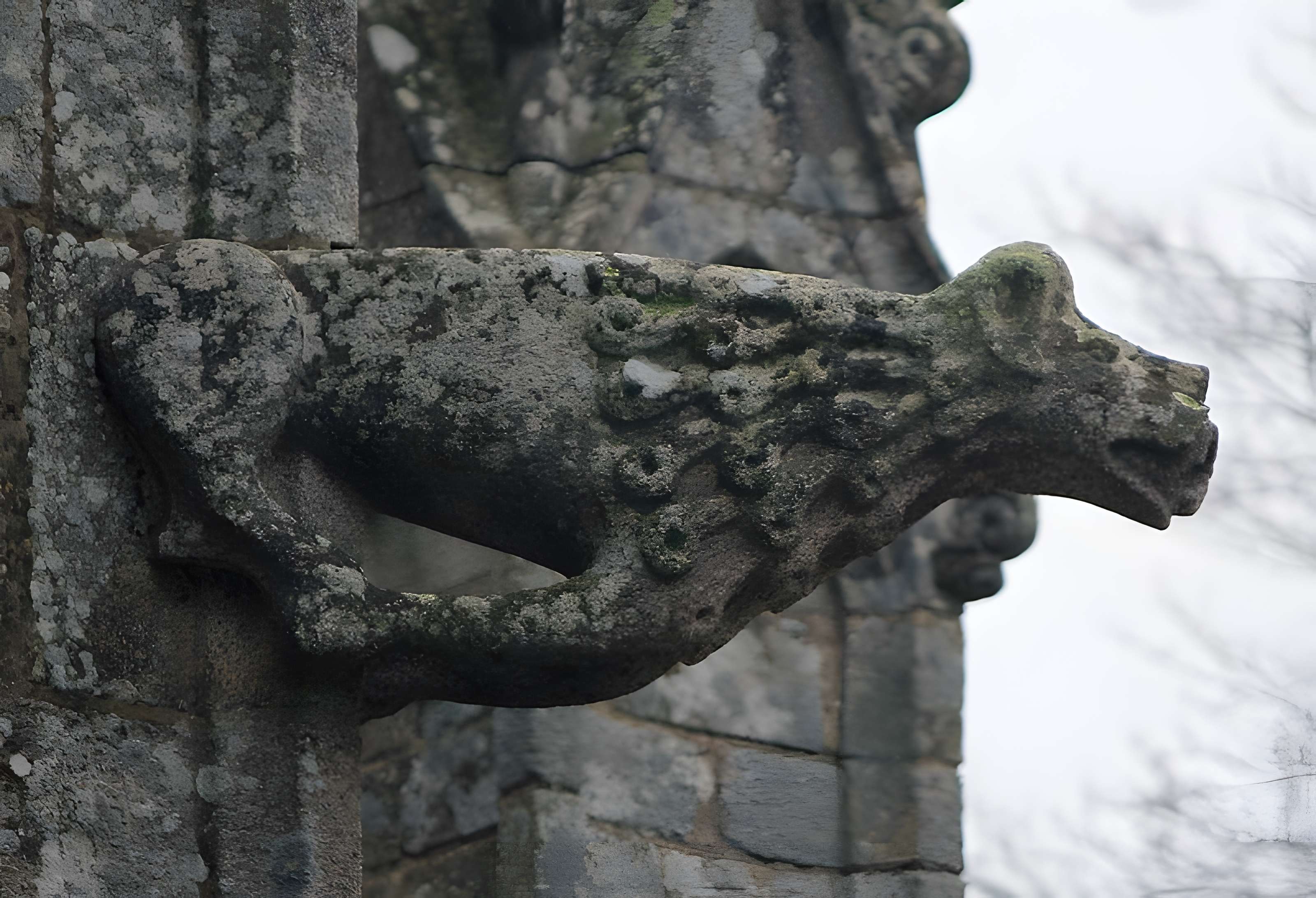 Basilique Notre-Dame-de-Paradis de Hennebont
