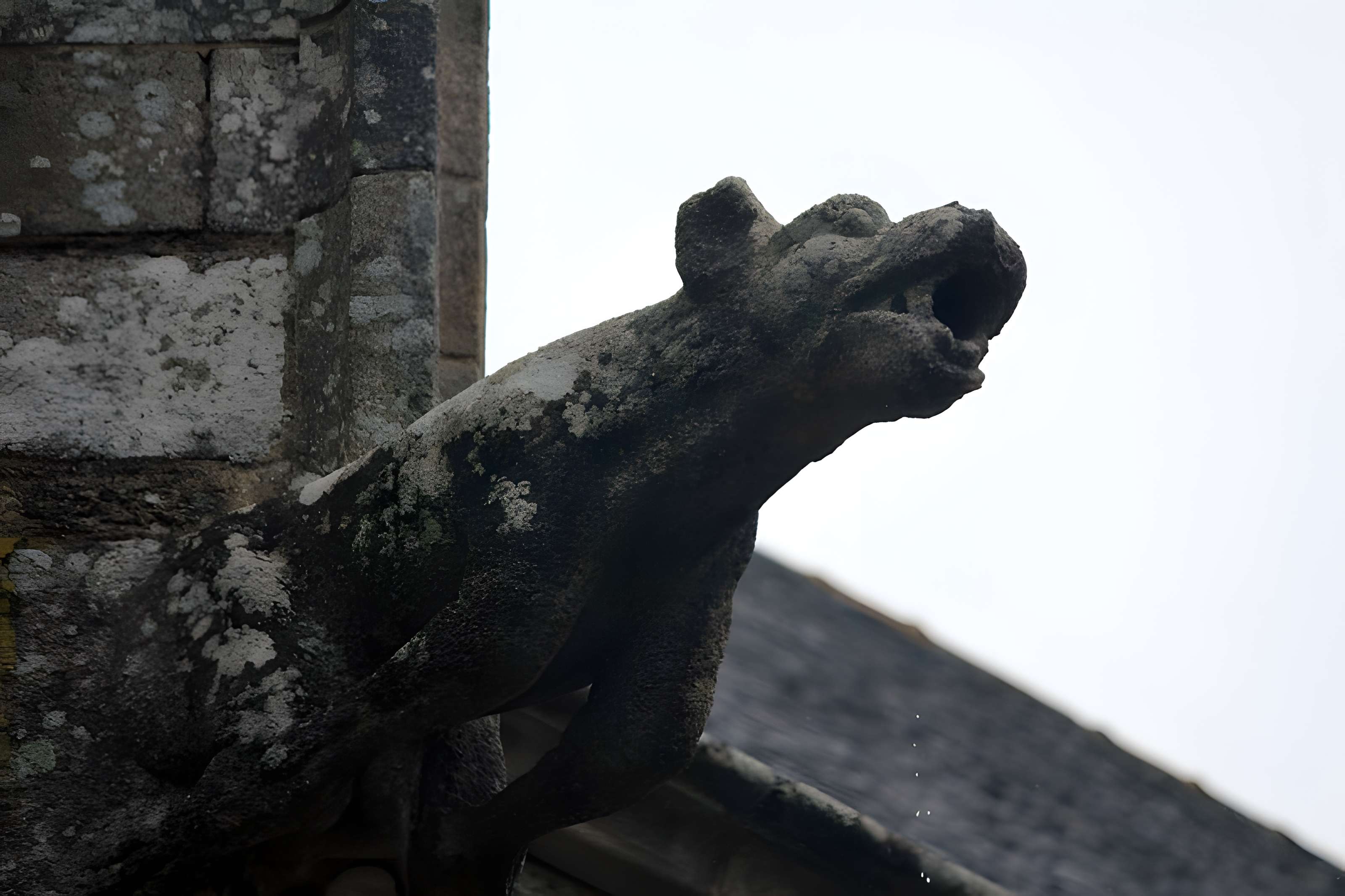 Basilique Notre-Dame-de-Paradis de Hennebont