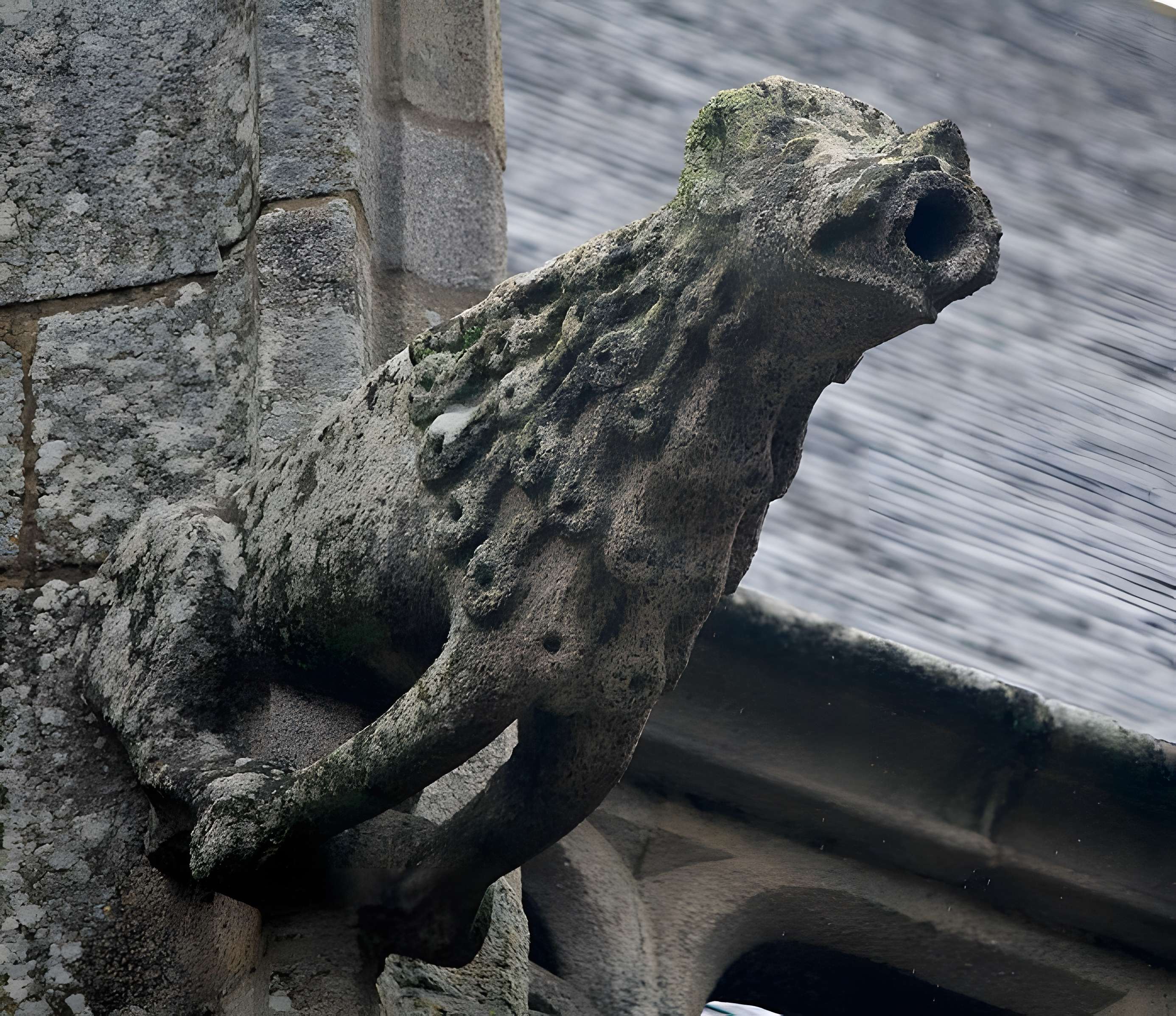 Basilique Notre-Dame-de-Paradis de Hennebont