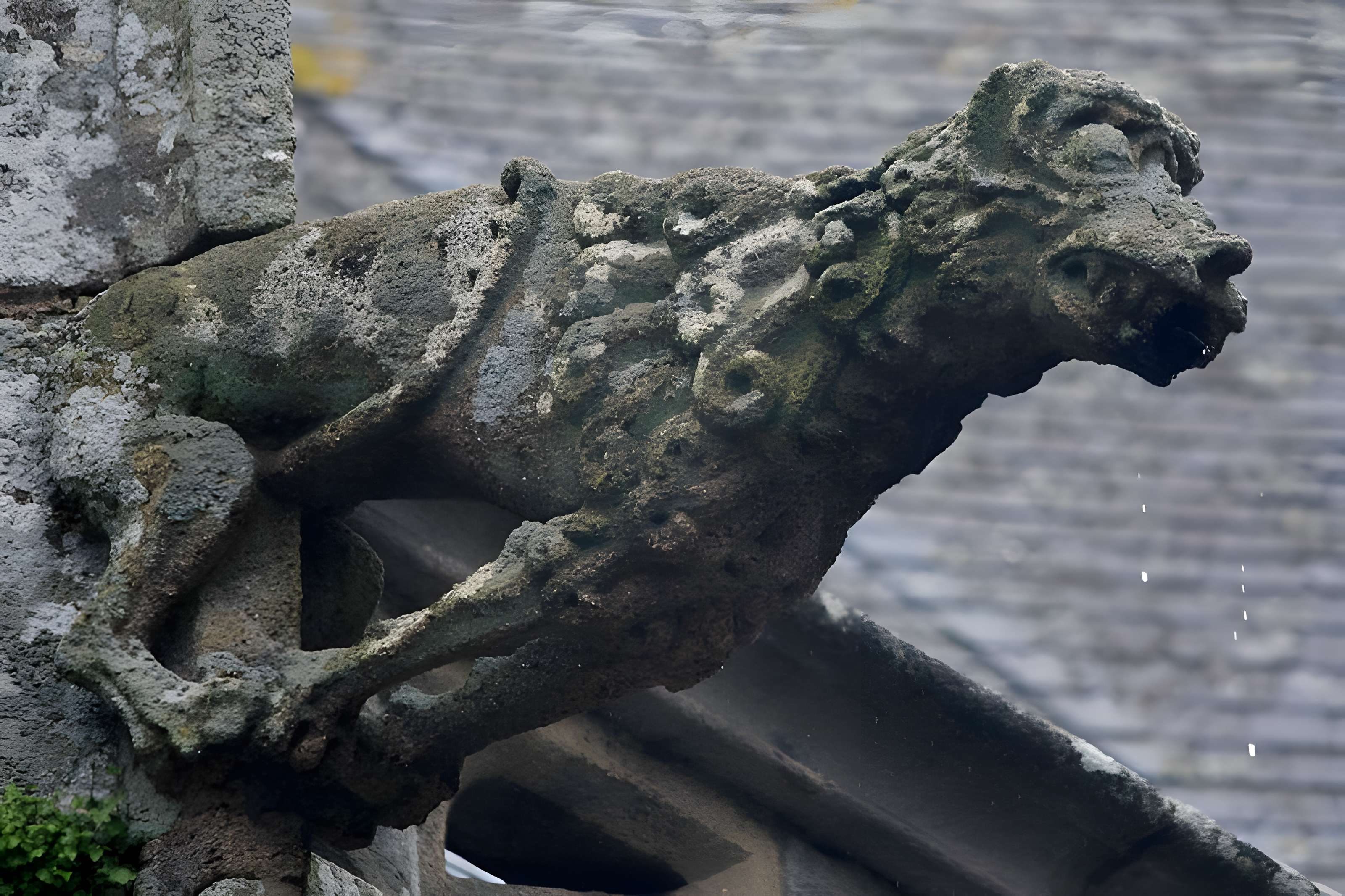 Basilique Notre-Dame-de-Paradis de Hennebont