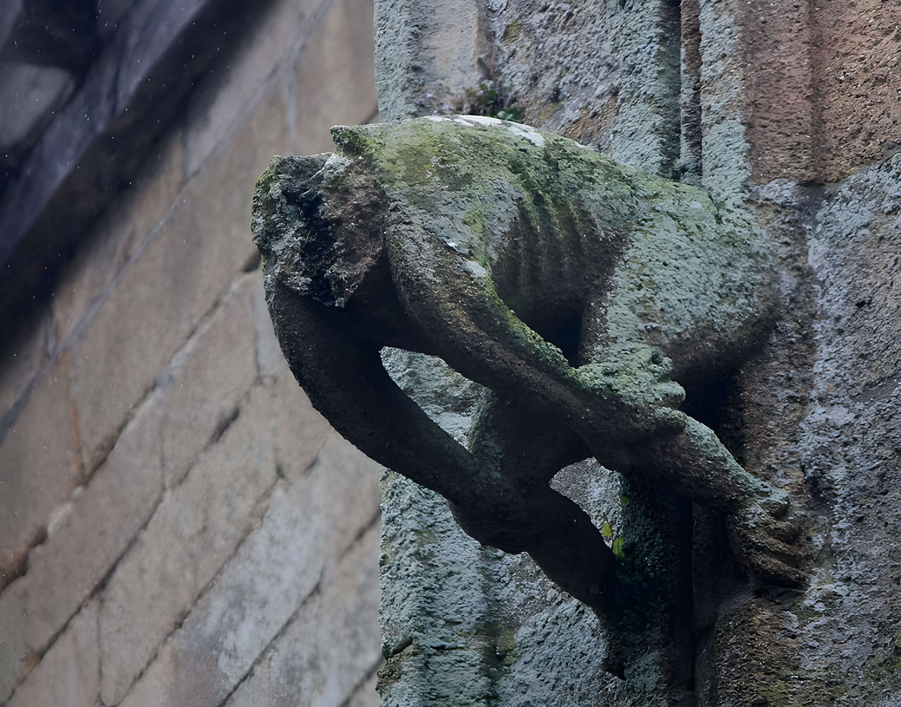 Basilique Notre-Dame-de-Paradis de Hennebont