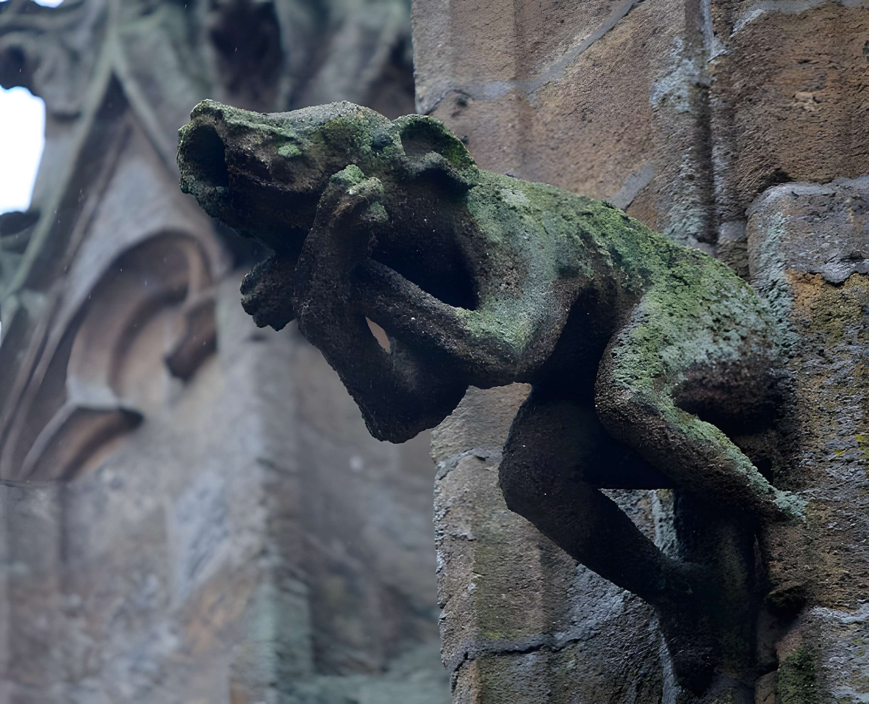Basilique Notre-Dame-de-Paradis de Hennebont