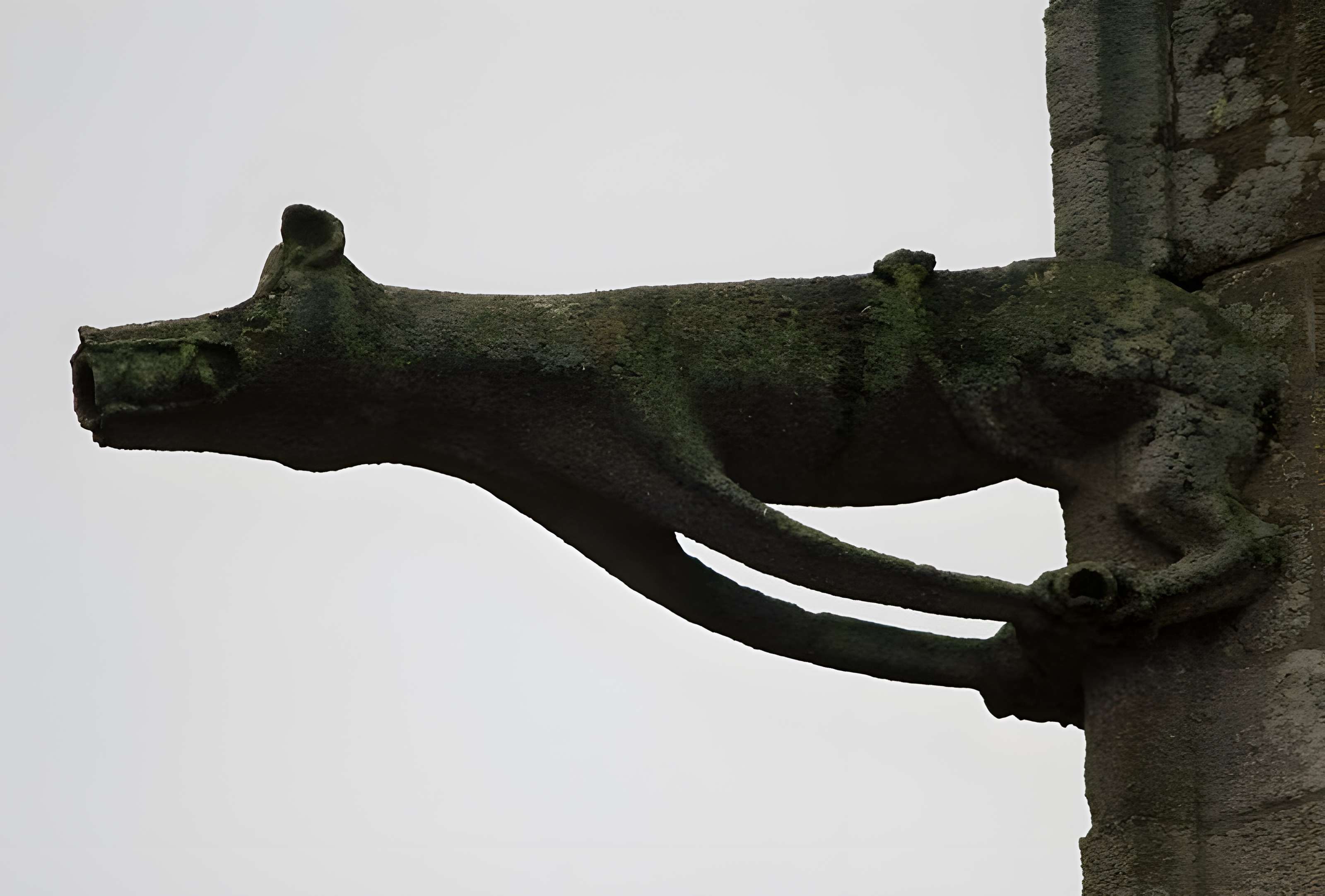 Basilique Notre-Dame-de-Paradis de Hennebont