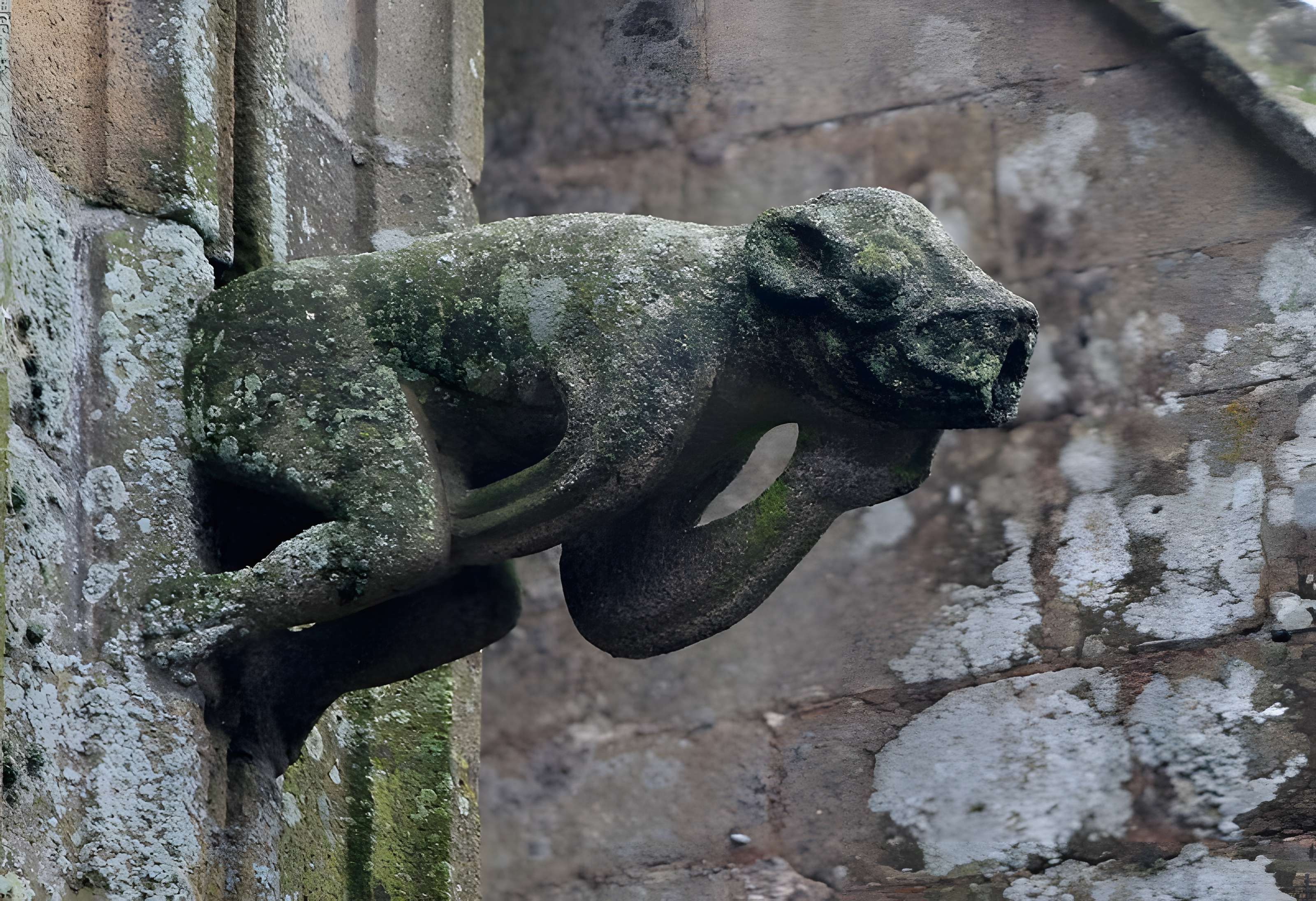 Basilique Notre-Dame-de-Paradis de Hennebont