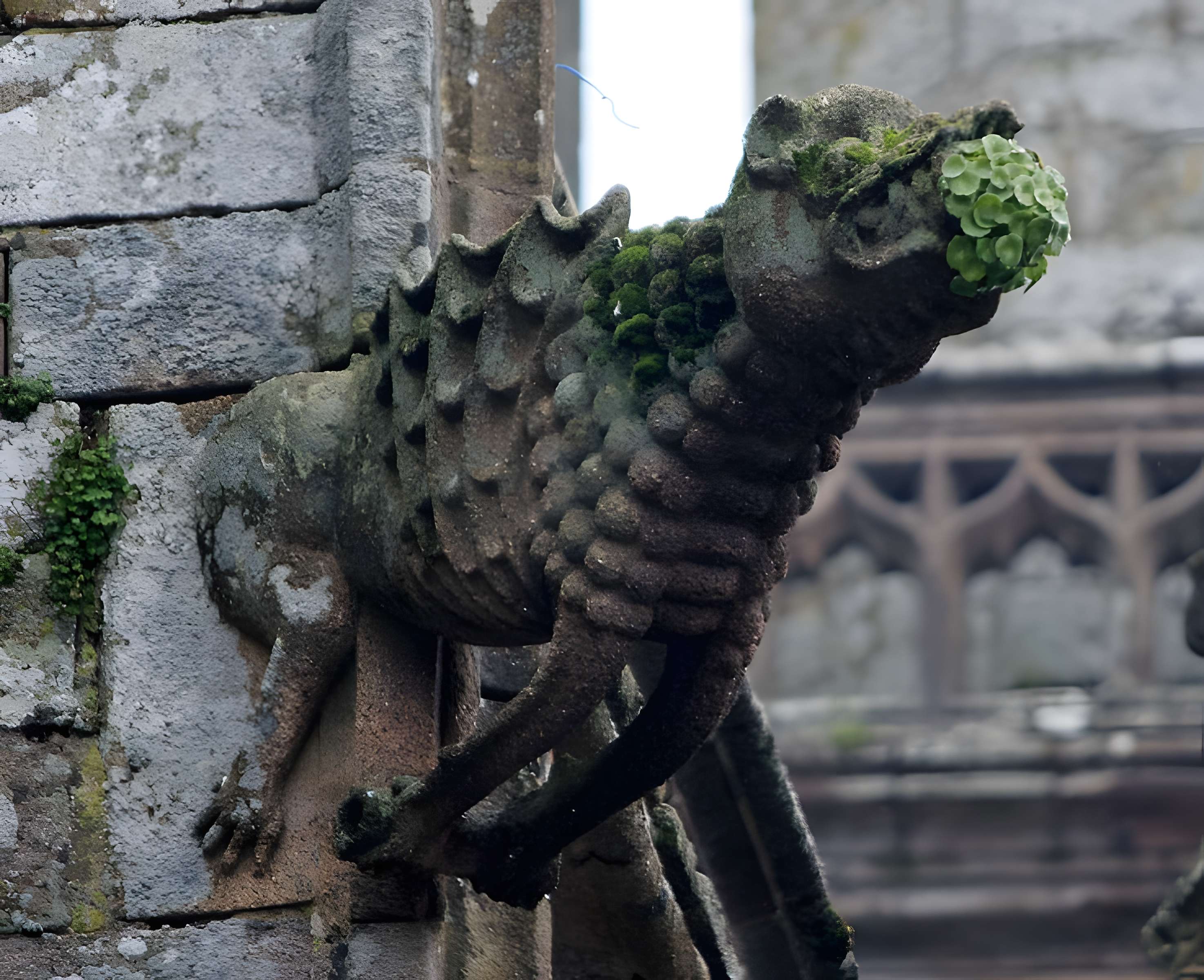 Basilique Notre-Dame-de-Paradis de Hennebont