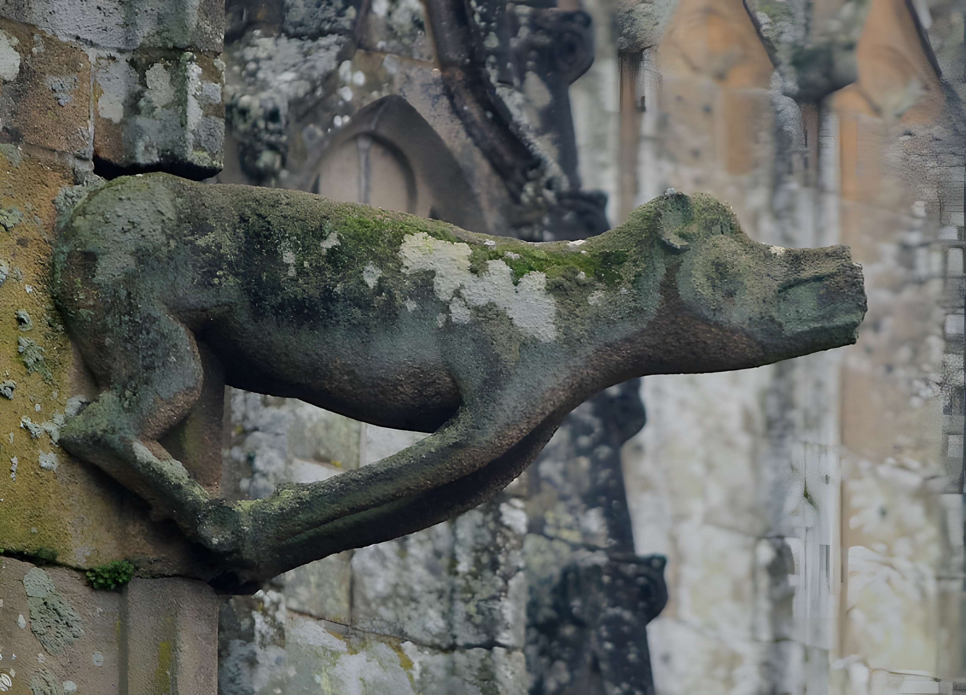 Basilique Notre-Dame-de-Paradis de Hennebont