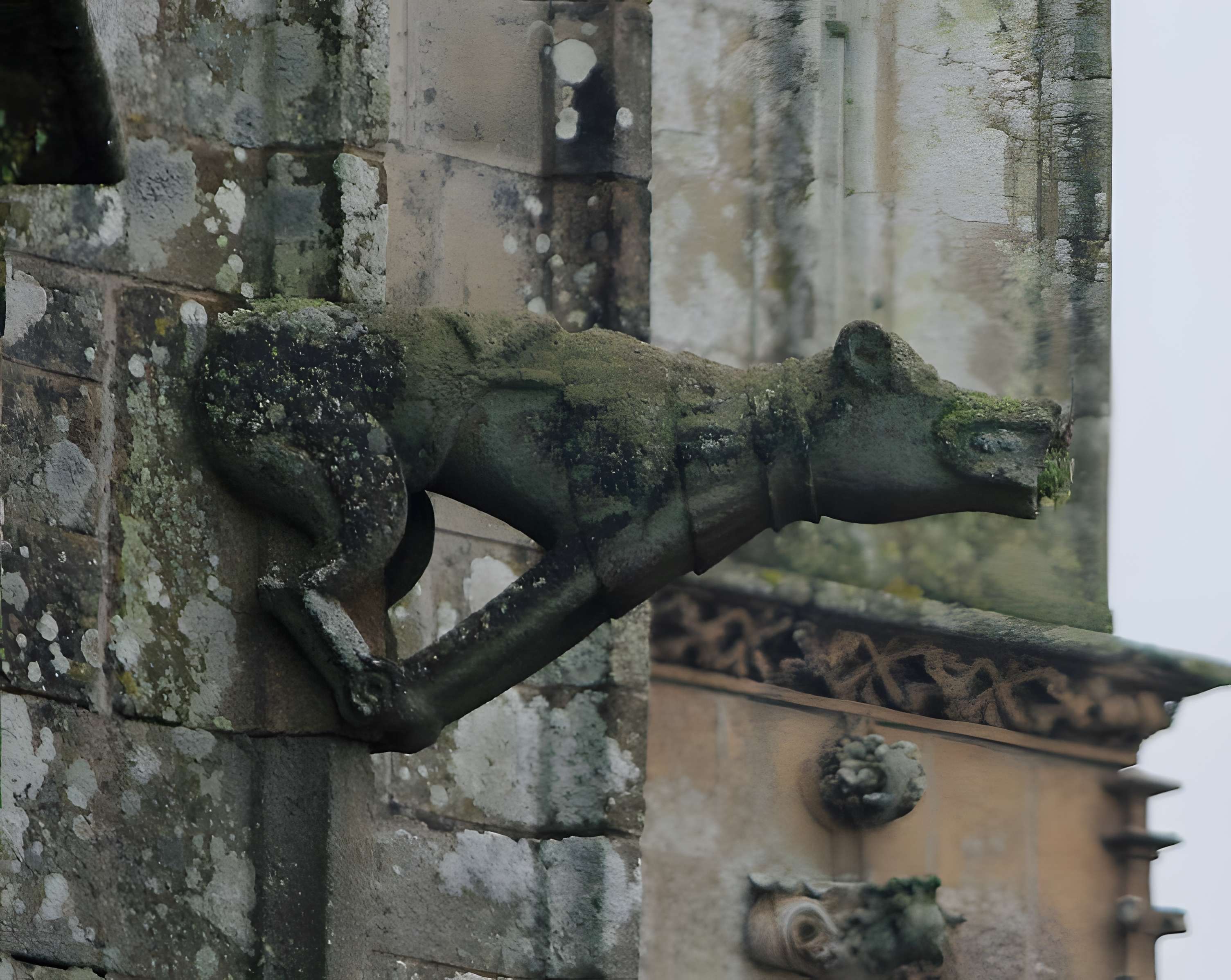 Basilique Notre-Dame-de-Paradis de Hennebont