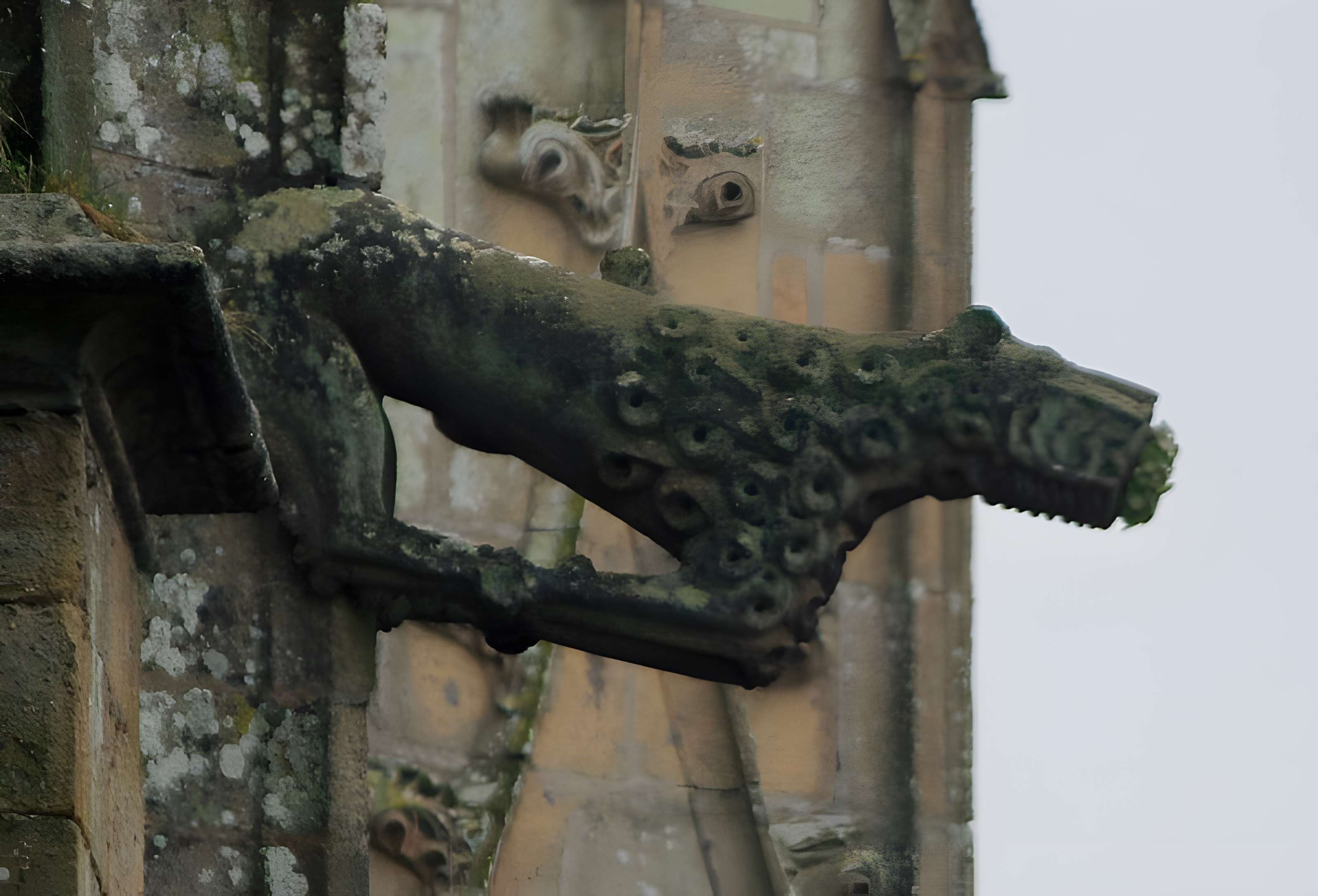 Basilique Notre-Dame-de-Paradis de Hennebont
