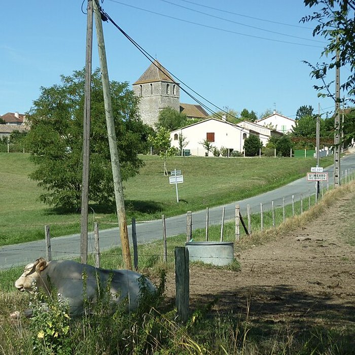 Photo de Église Saint-Médard de Saint-Méard-de-Gurçon