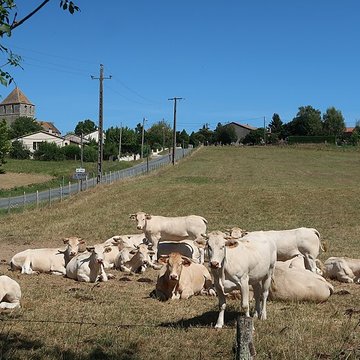 Église Saint-Médard de Saint-Méard-de-Gurçon