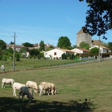 Église Saint-Médard de Saint-Méard-de-Gurçon