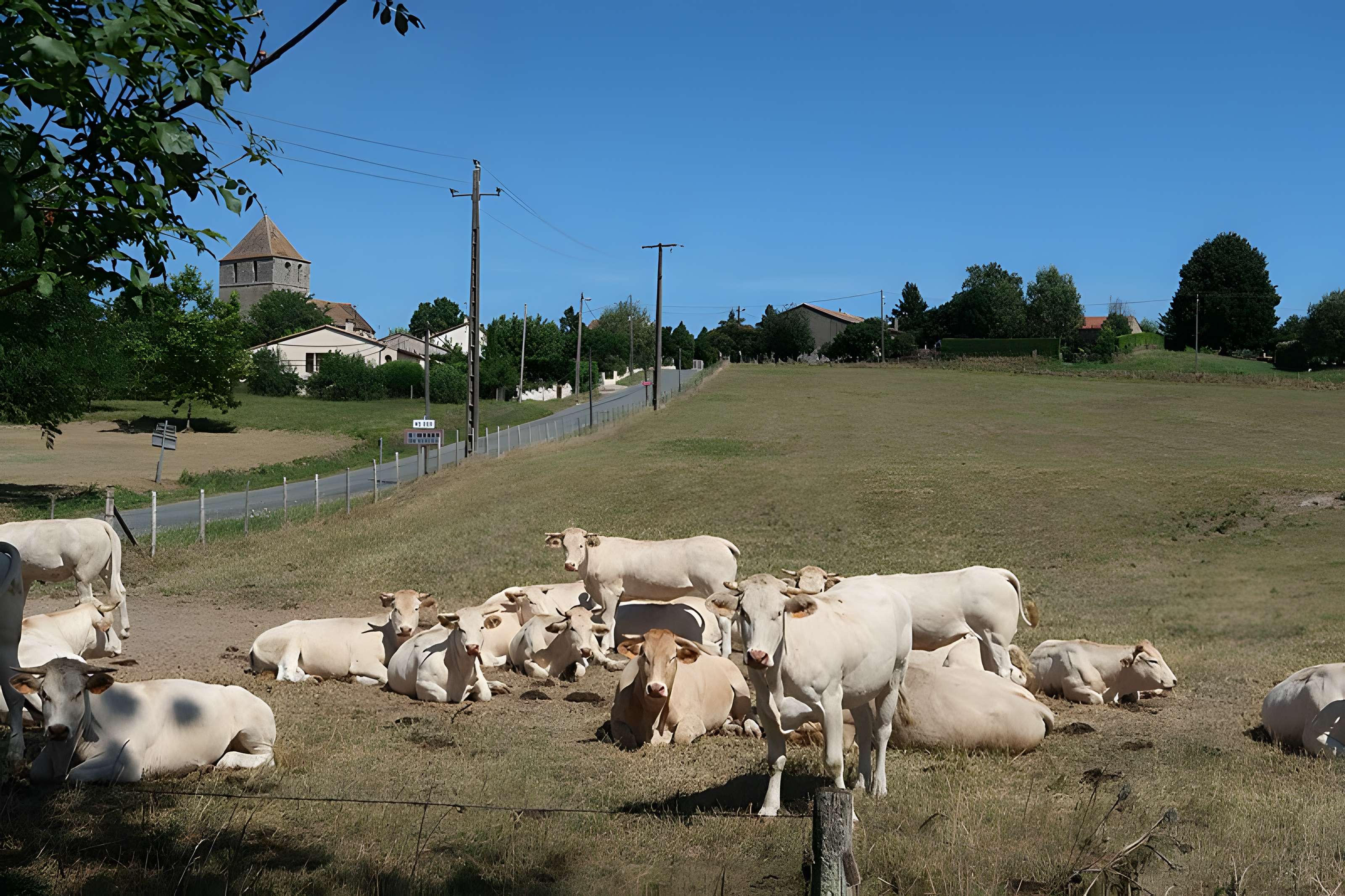 Église Saint-Médard de Saint-Méard-de-Gurçon