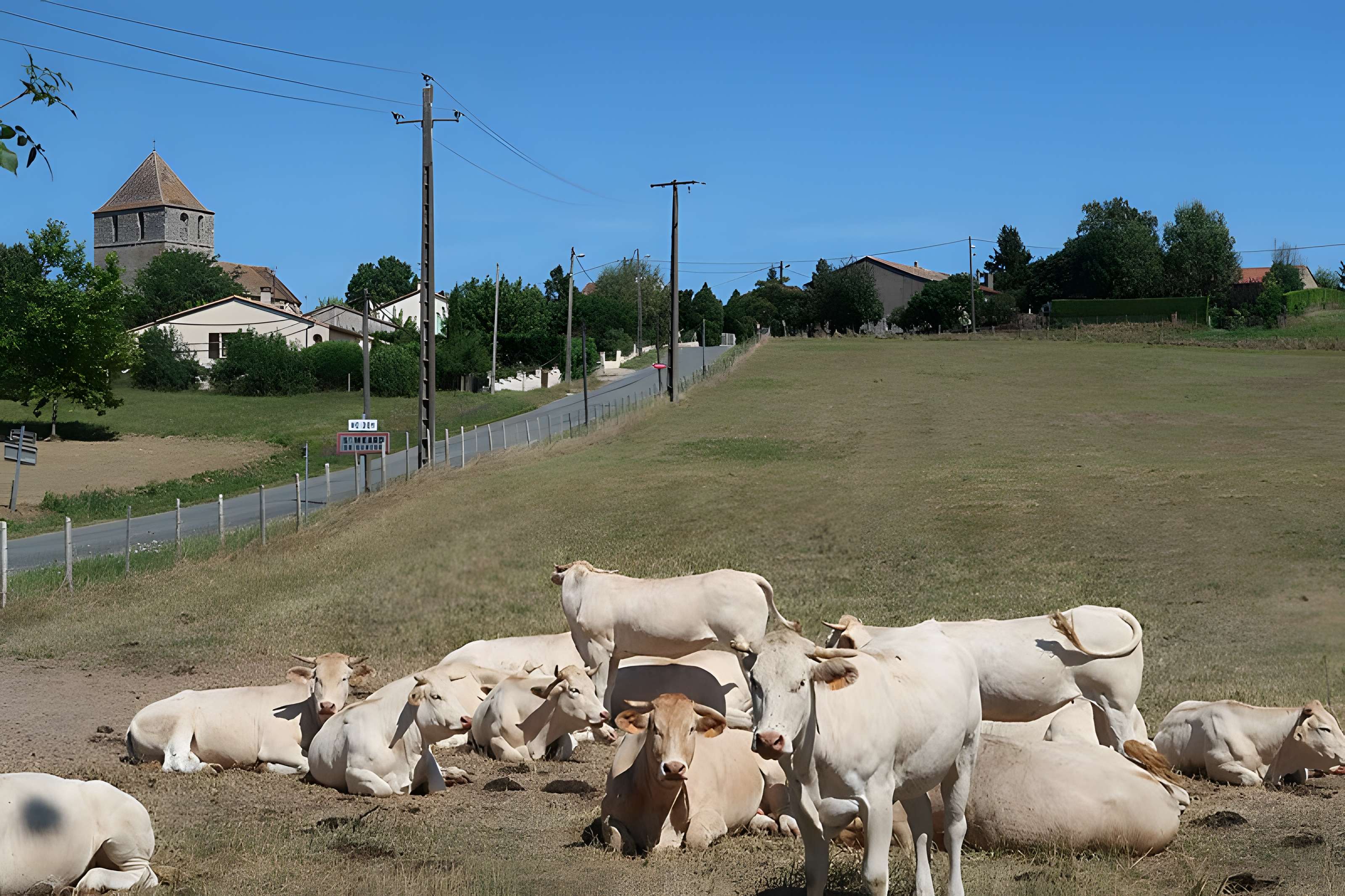 Église Saint-Médard de Saint-Méard-de-Gurçon