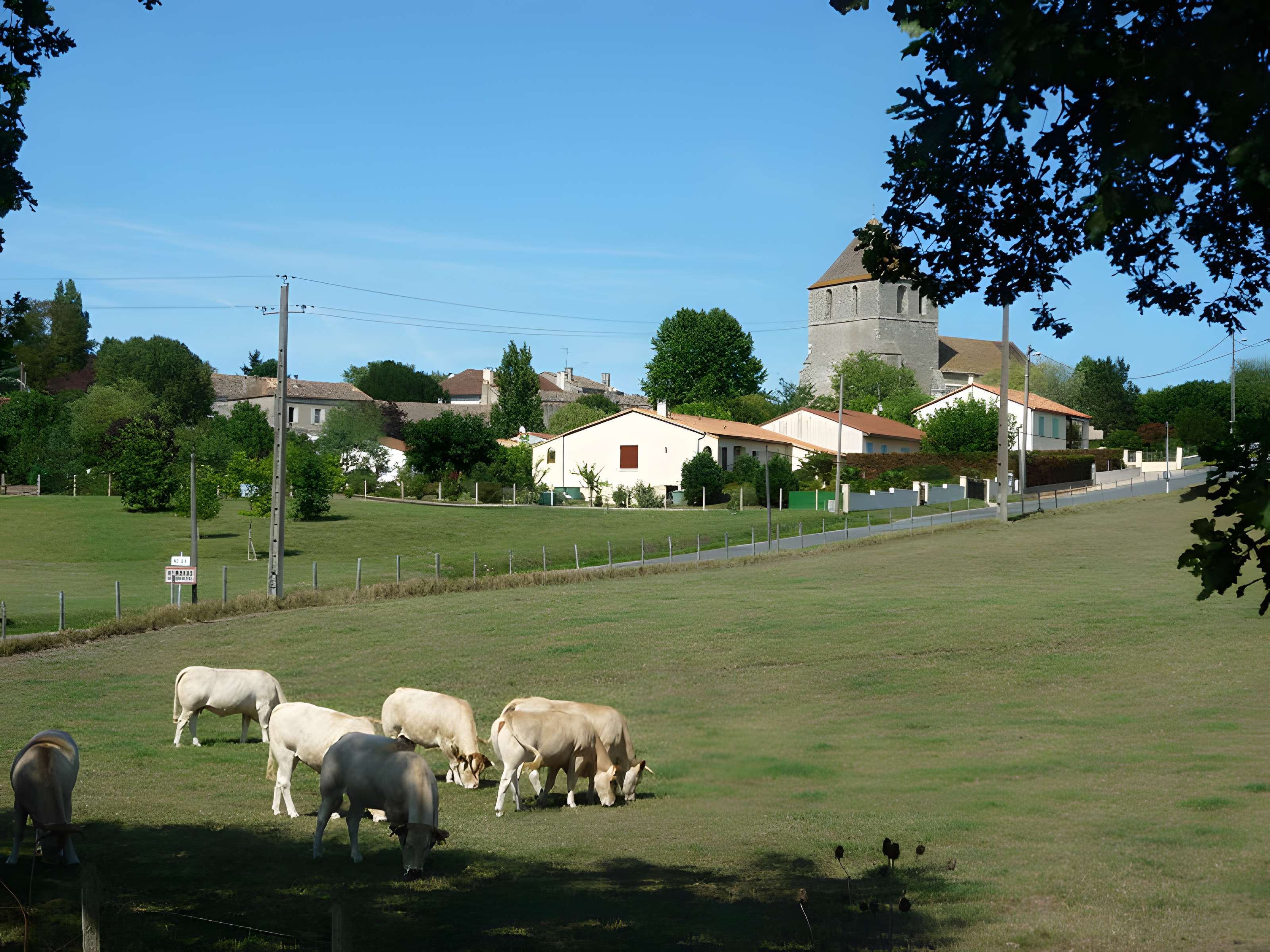 Église Saint-Médard de Saint-Méard-de-Gurçon
