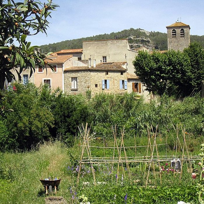 Photo de Église Saint-Michel de Lagrasse