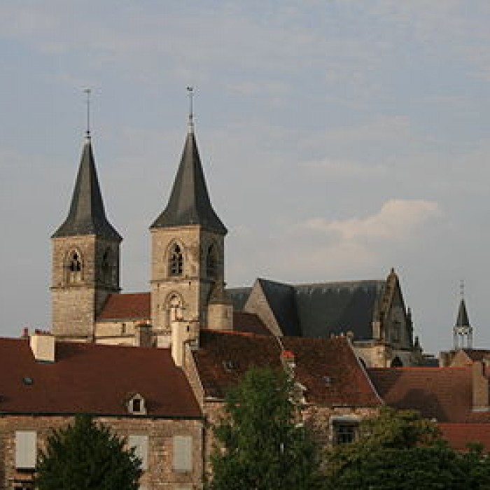 Photo de Basilique Saint-Jean-Baptiste de Chaumont