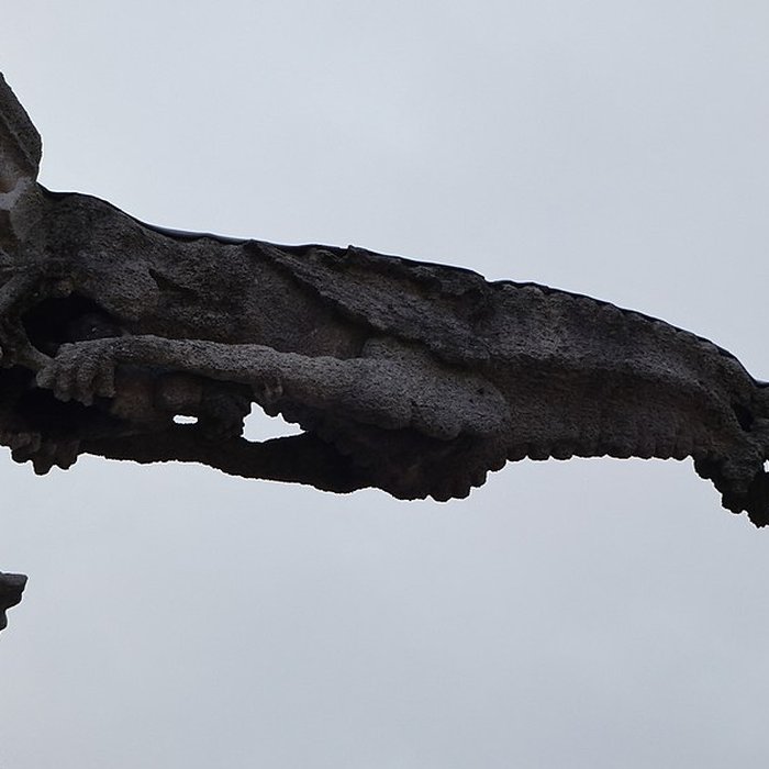 Photo de Basilique Saint-Jean-Baptiste de Chaumont