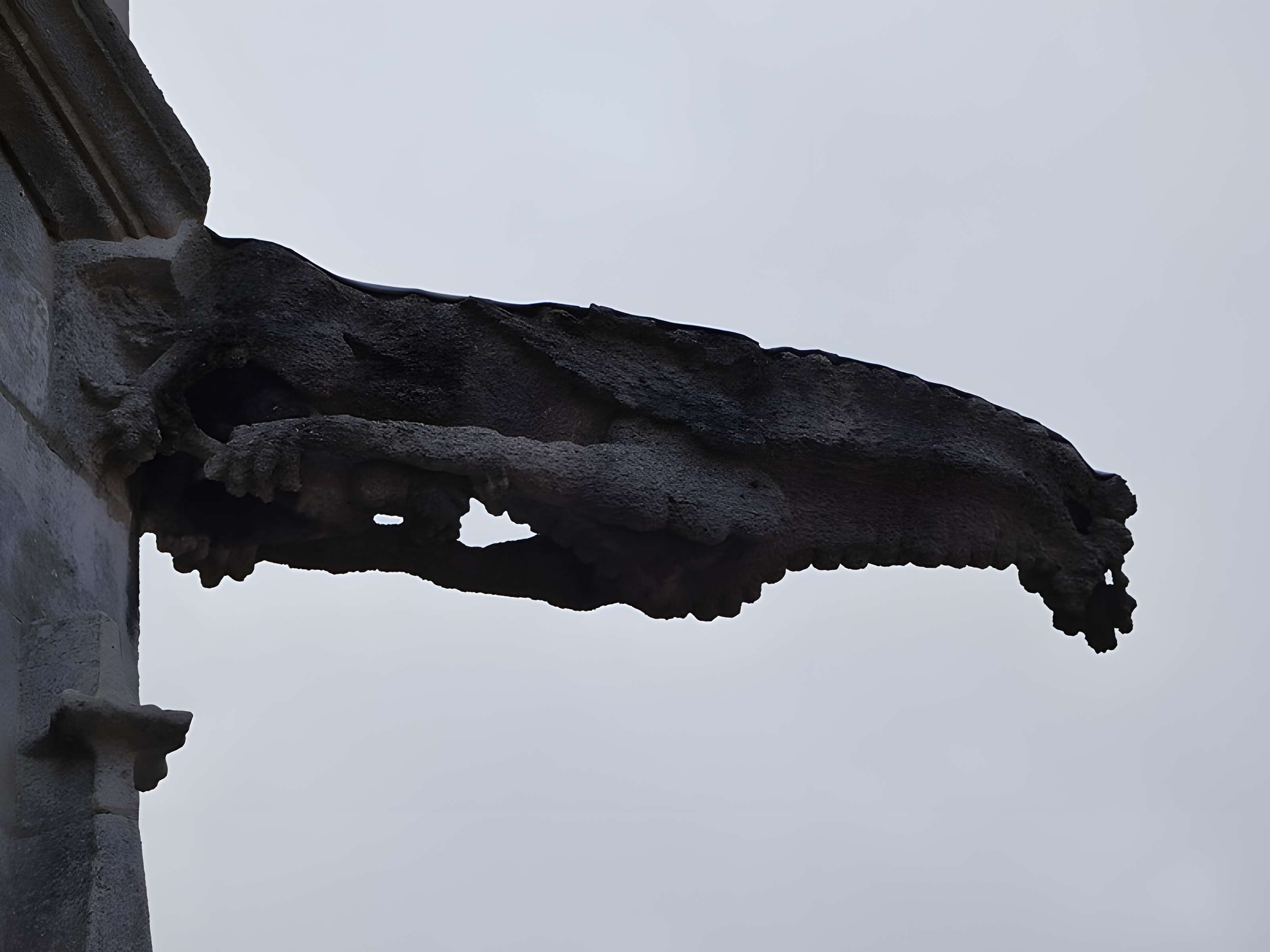 Basilique Saint-Jean-Baptiste de Chaumont