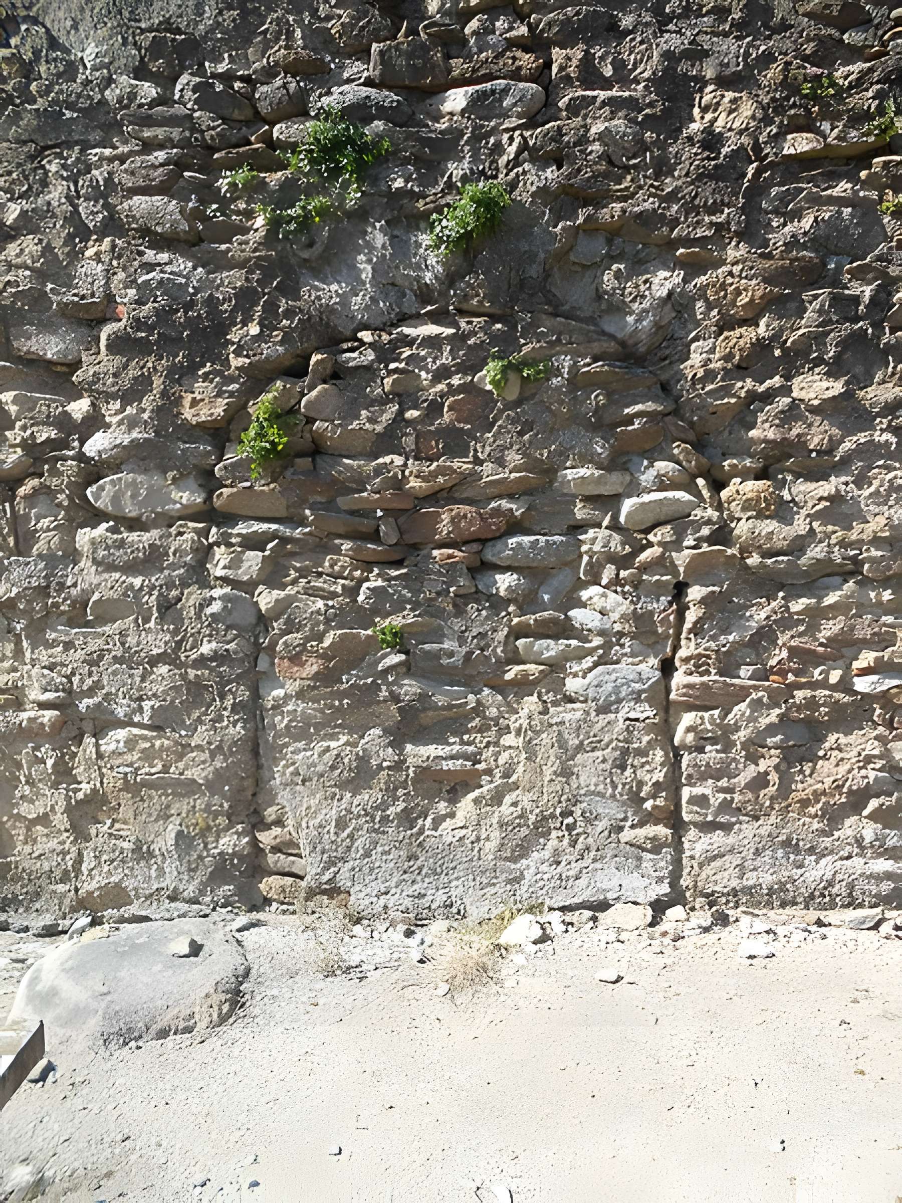 Église Saint-Michel de Riunoguès