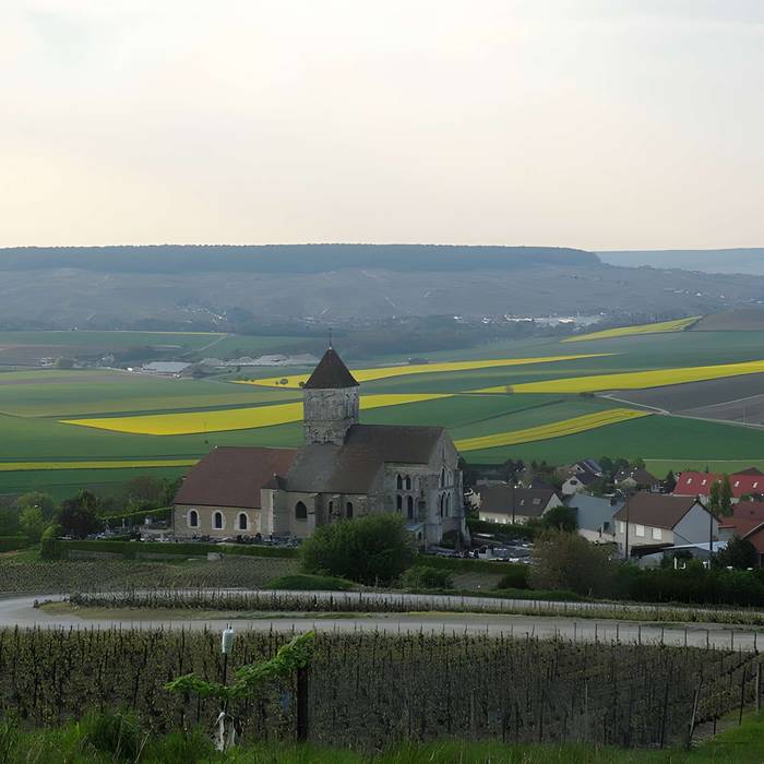 Photo de Église Saint-Nicaise de Cuis
