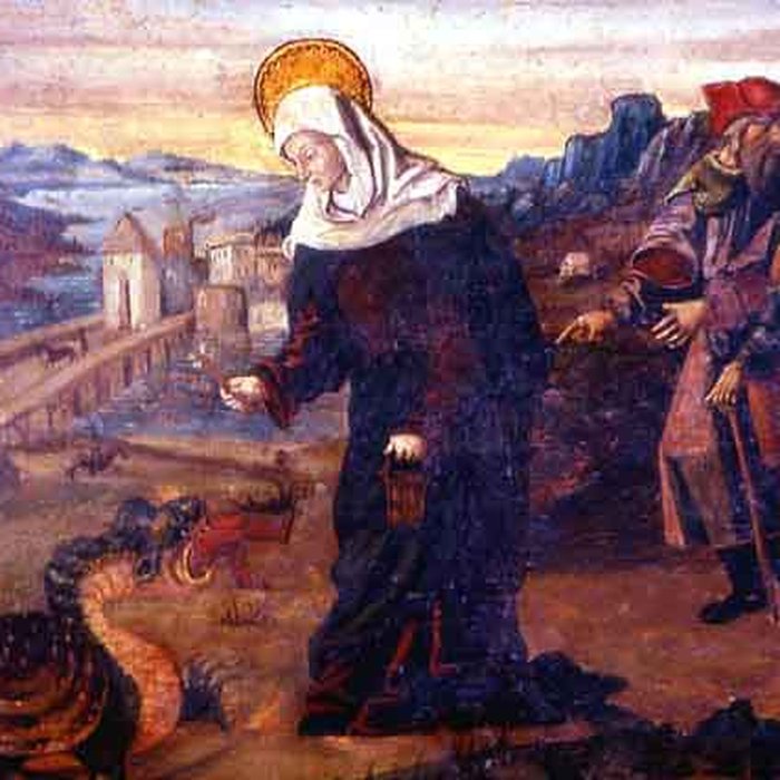 Photo de Basilique Sainte-Marie-Madeleine de Saint-Maximin-la-Sainte-Baume