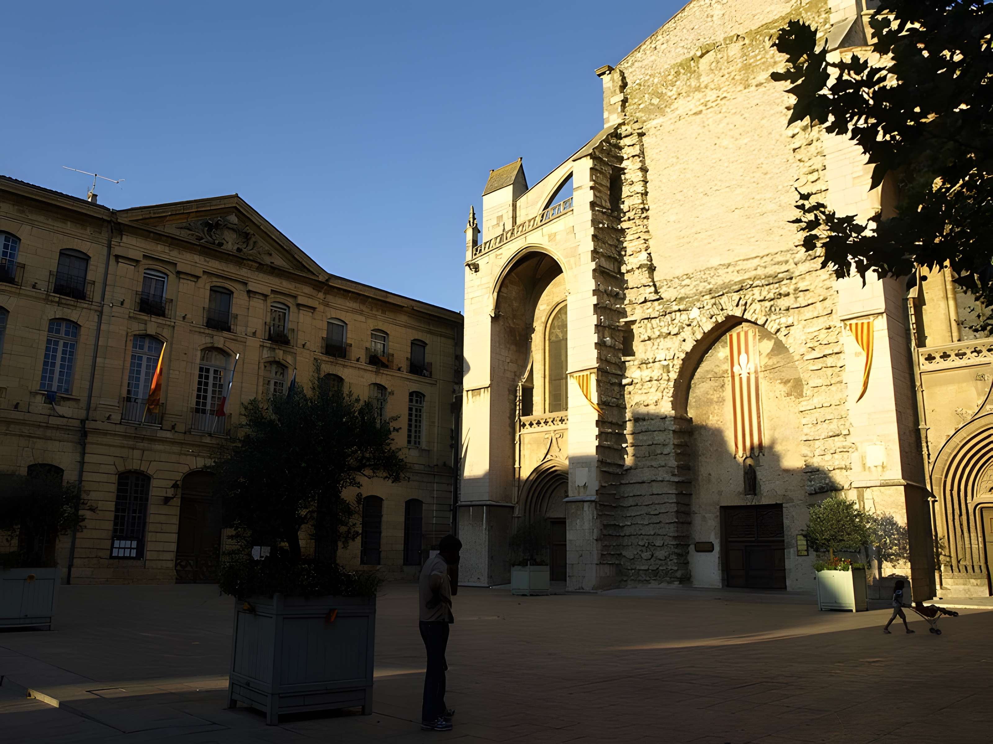 Basilique Sainte-Marie-Madeleine de Saint-Maximin-la-Sainte-Baume