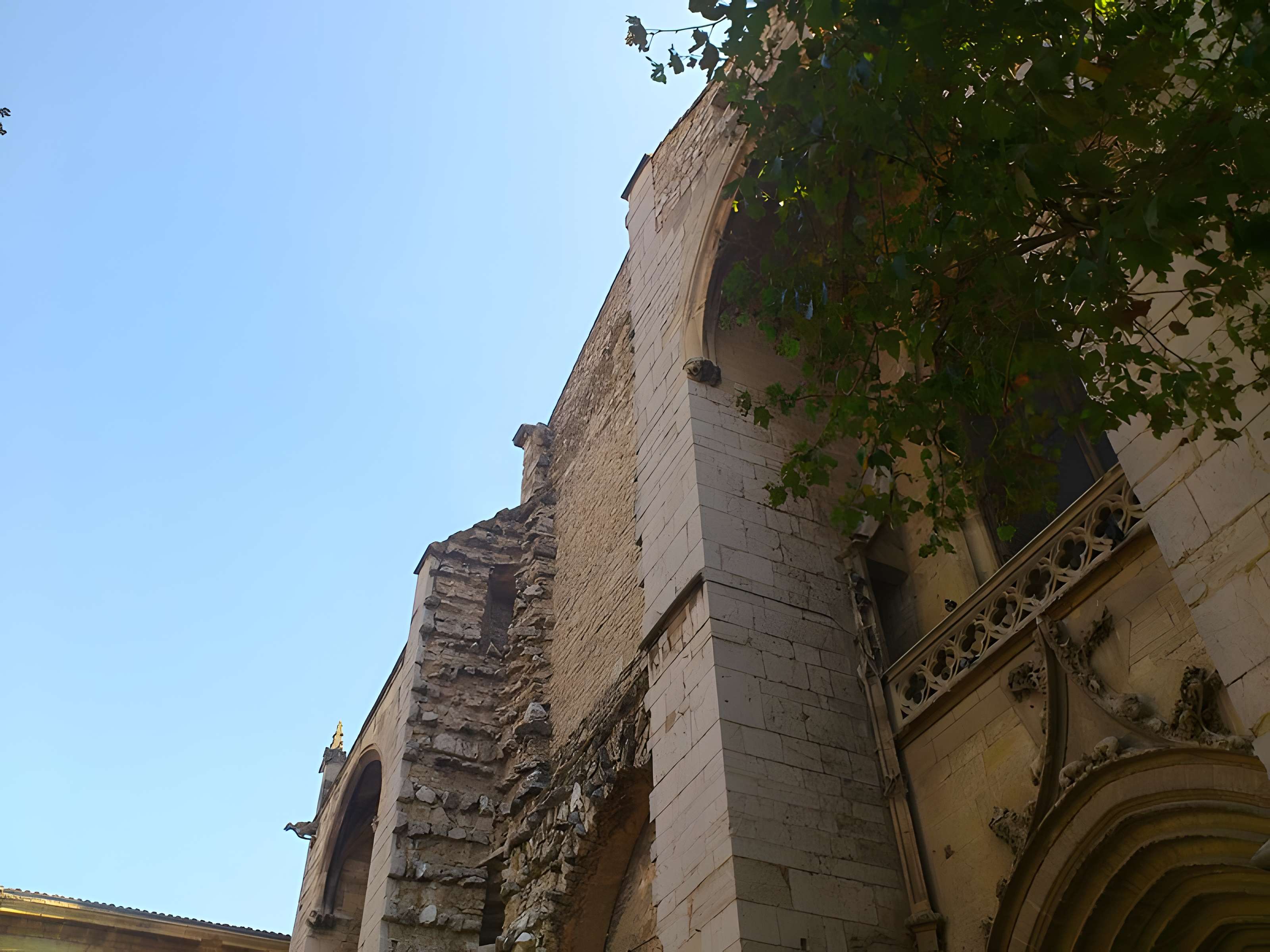 Basilique Sainte-Marie-Madeleine de Saint-Maximin-la-Sainte-Baume
